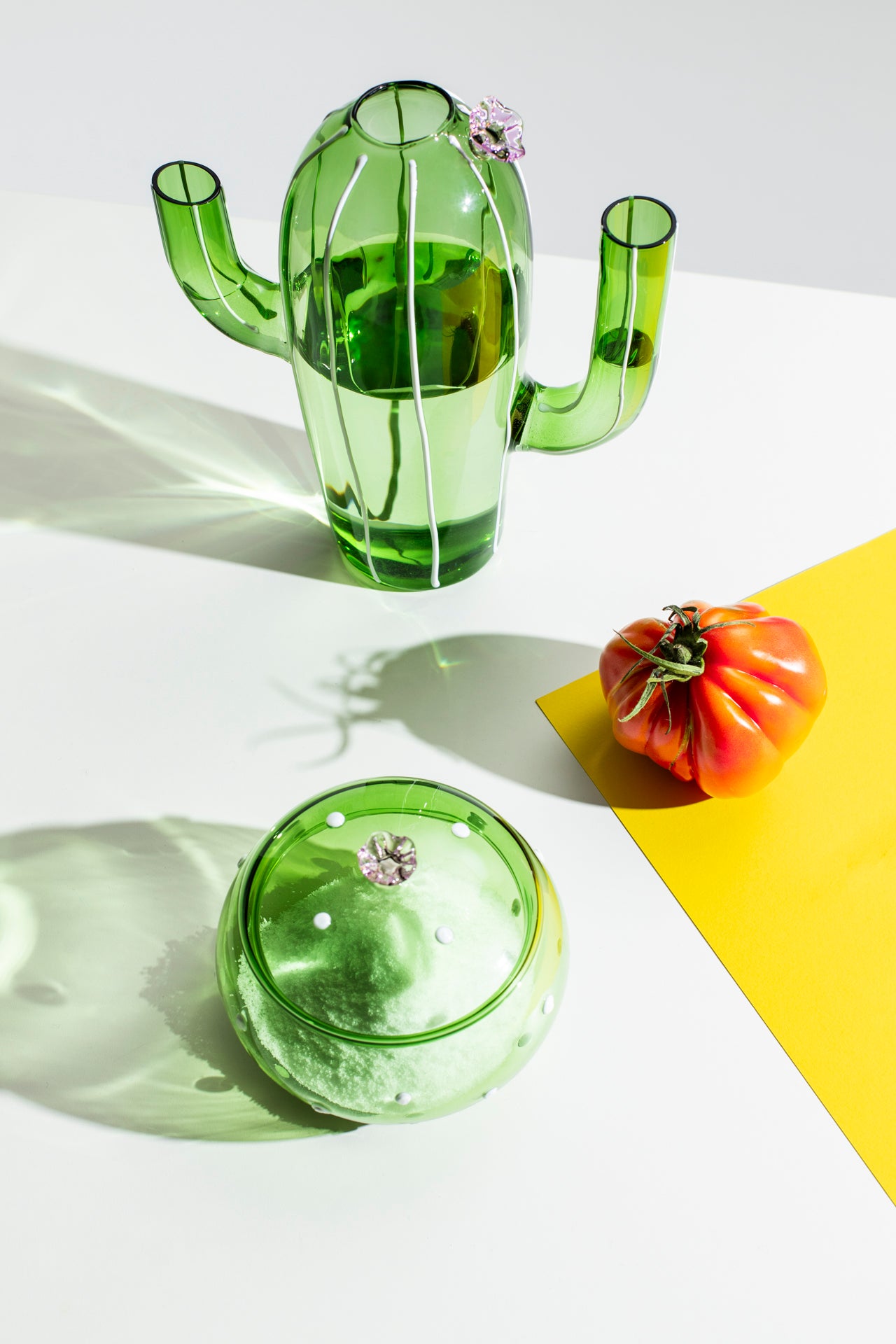 DESERT PLANTS - box green cactus pink flower