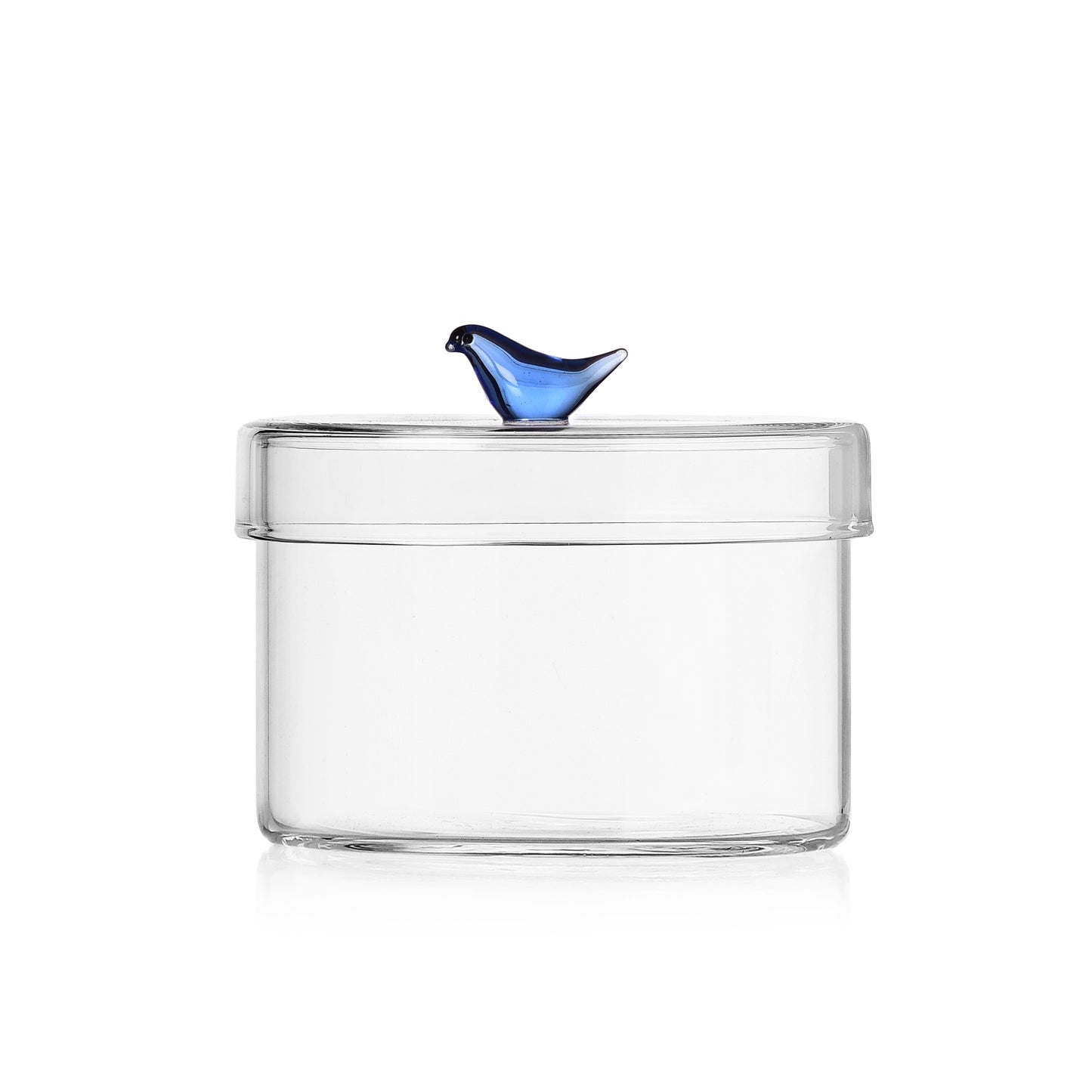 BIRDS - LOW BOX BLUE BIRD