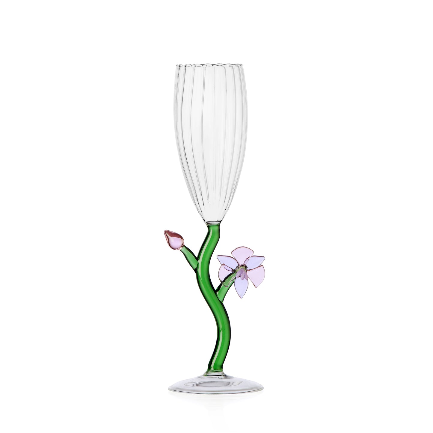 BOTANICA - optic flute orchid