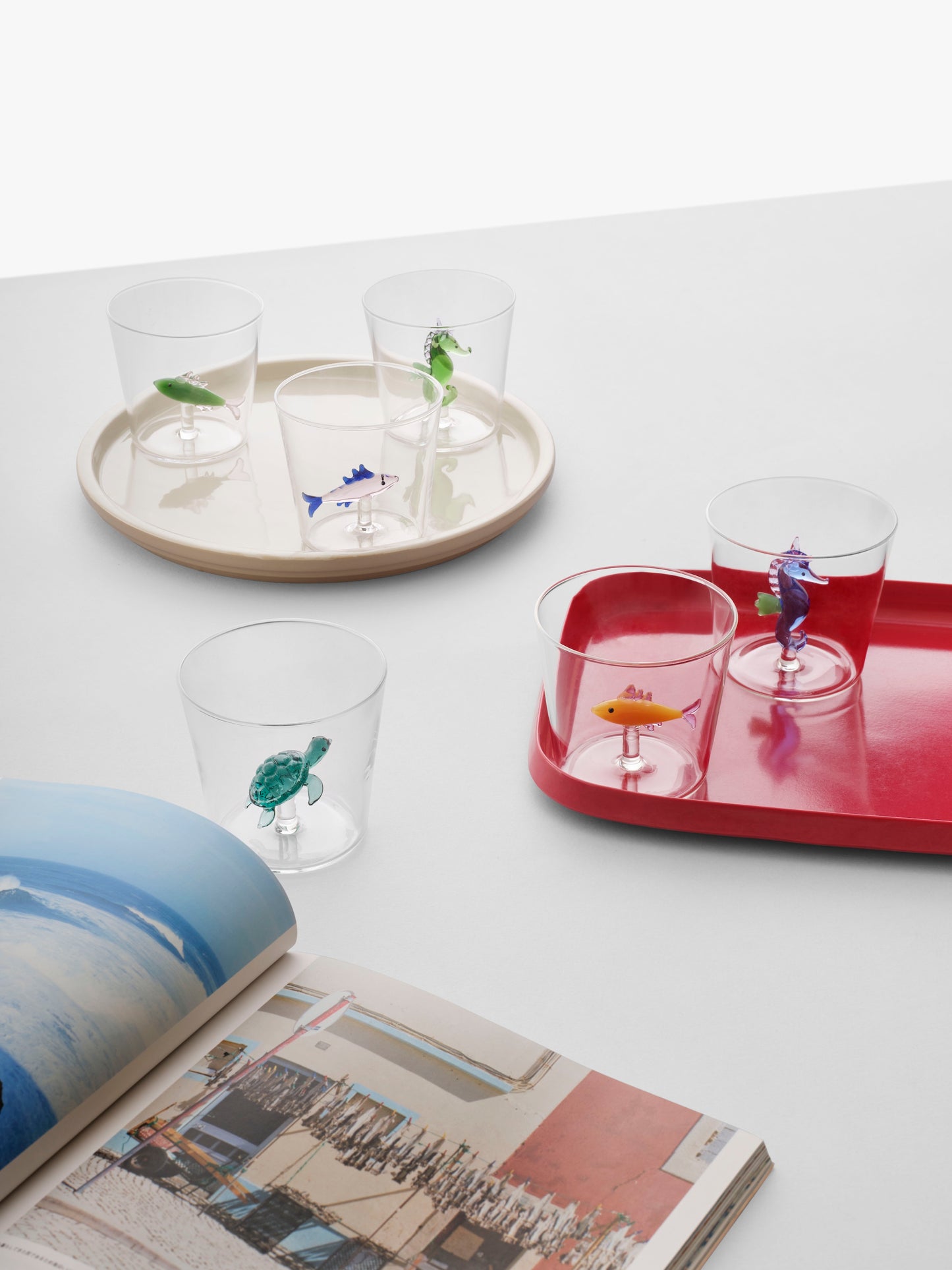 MARINE GARDEN - TUMBLER TURTLE