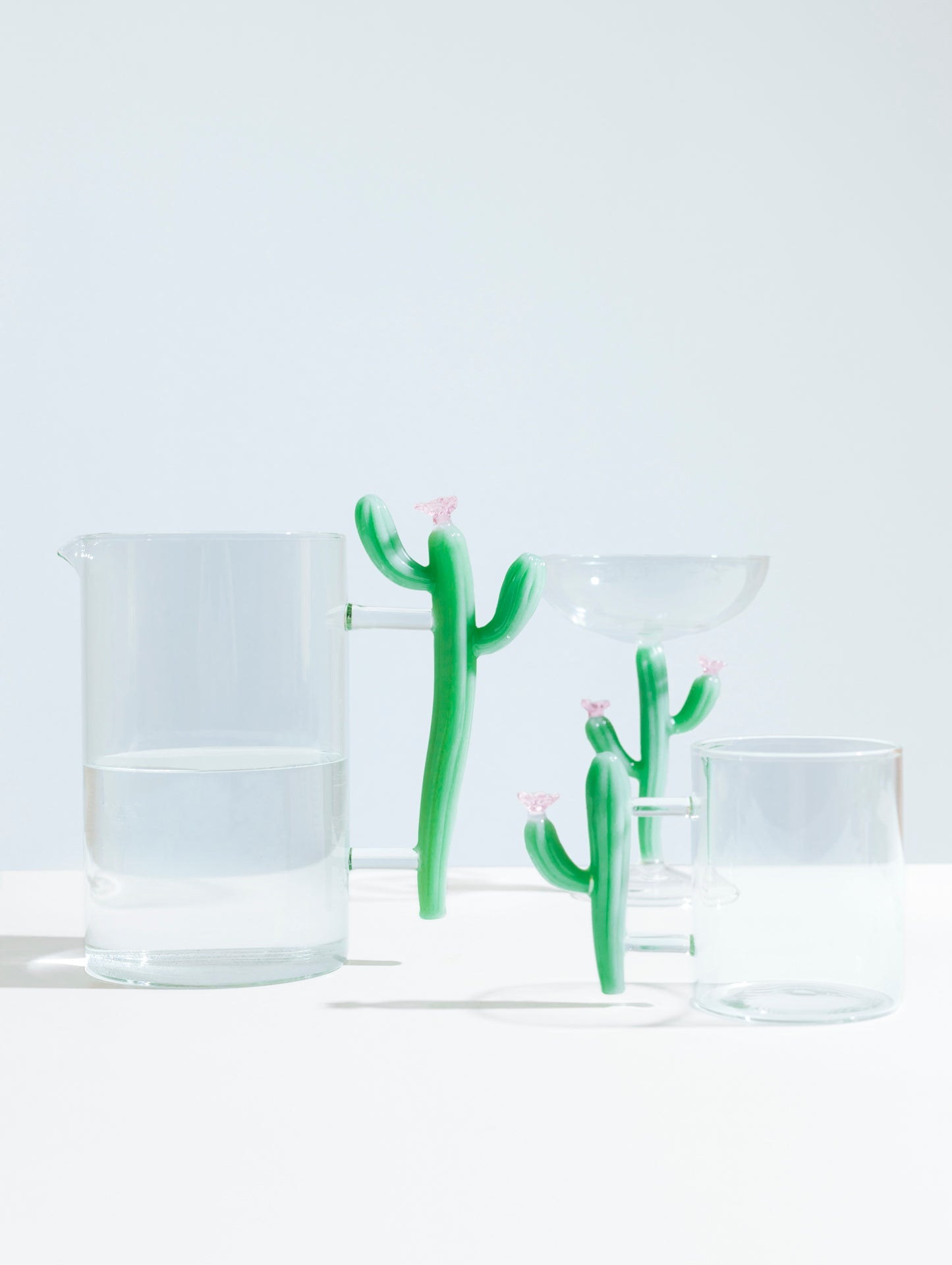 DESERT PLANTS - mug cactus matt green