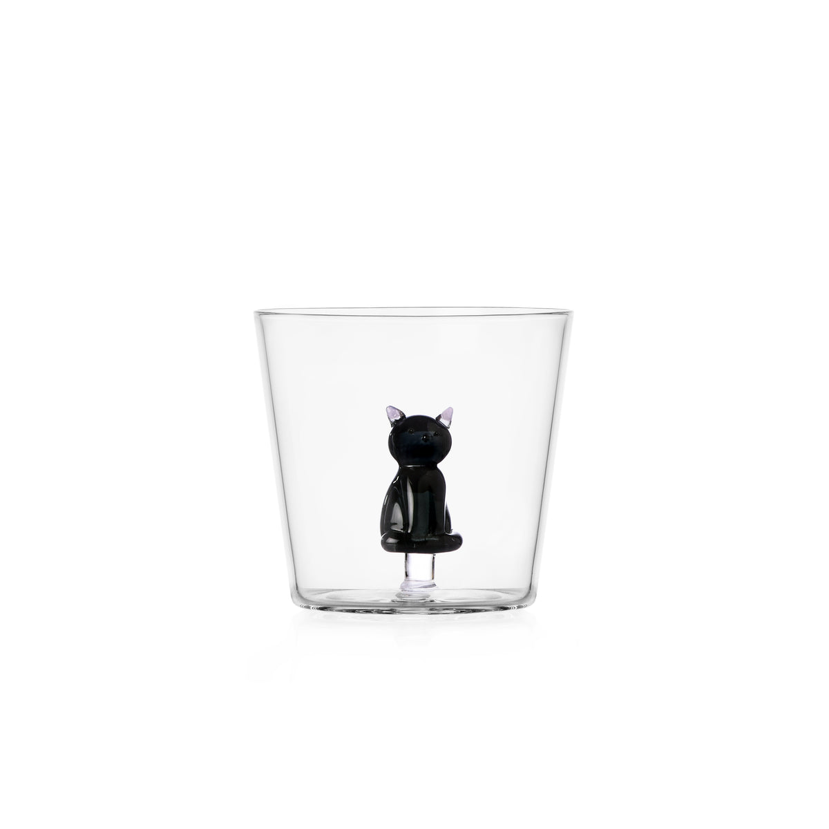 TABBY CAT - tumbler sitting black cat