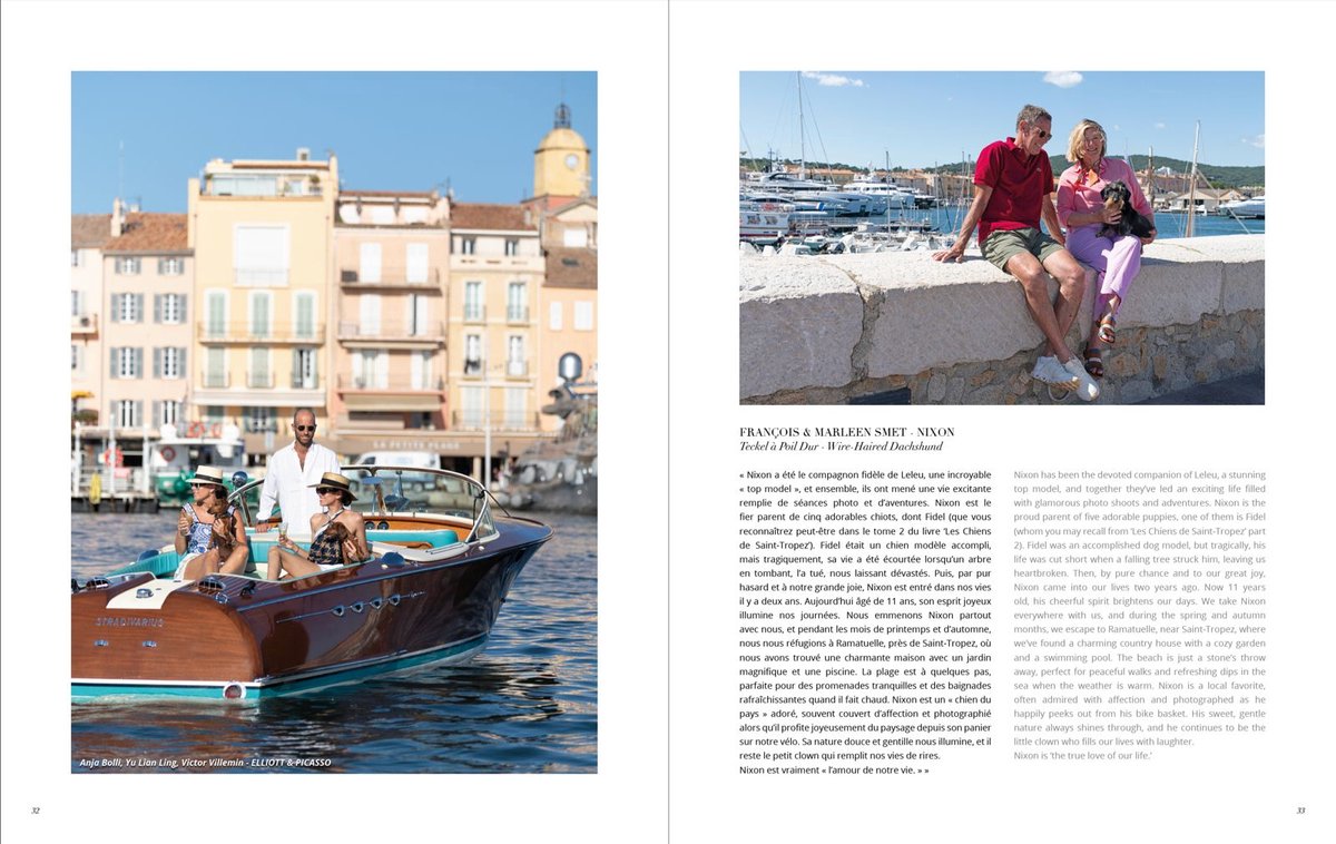 LES CHIENS DE SAINT-TROPEZ