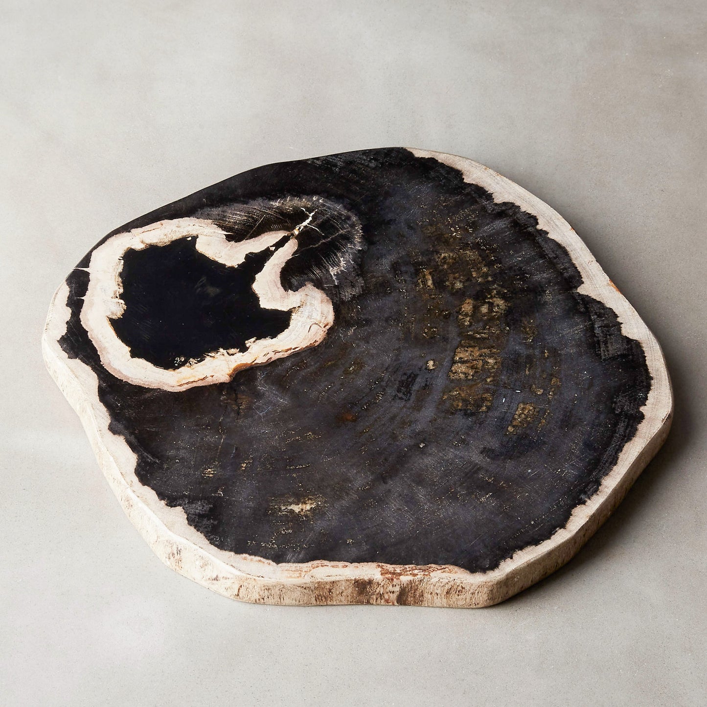 PETRIFIED WOOD SERVING BOARD