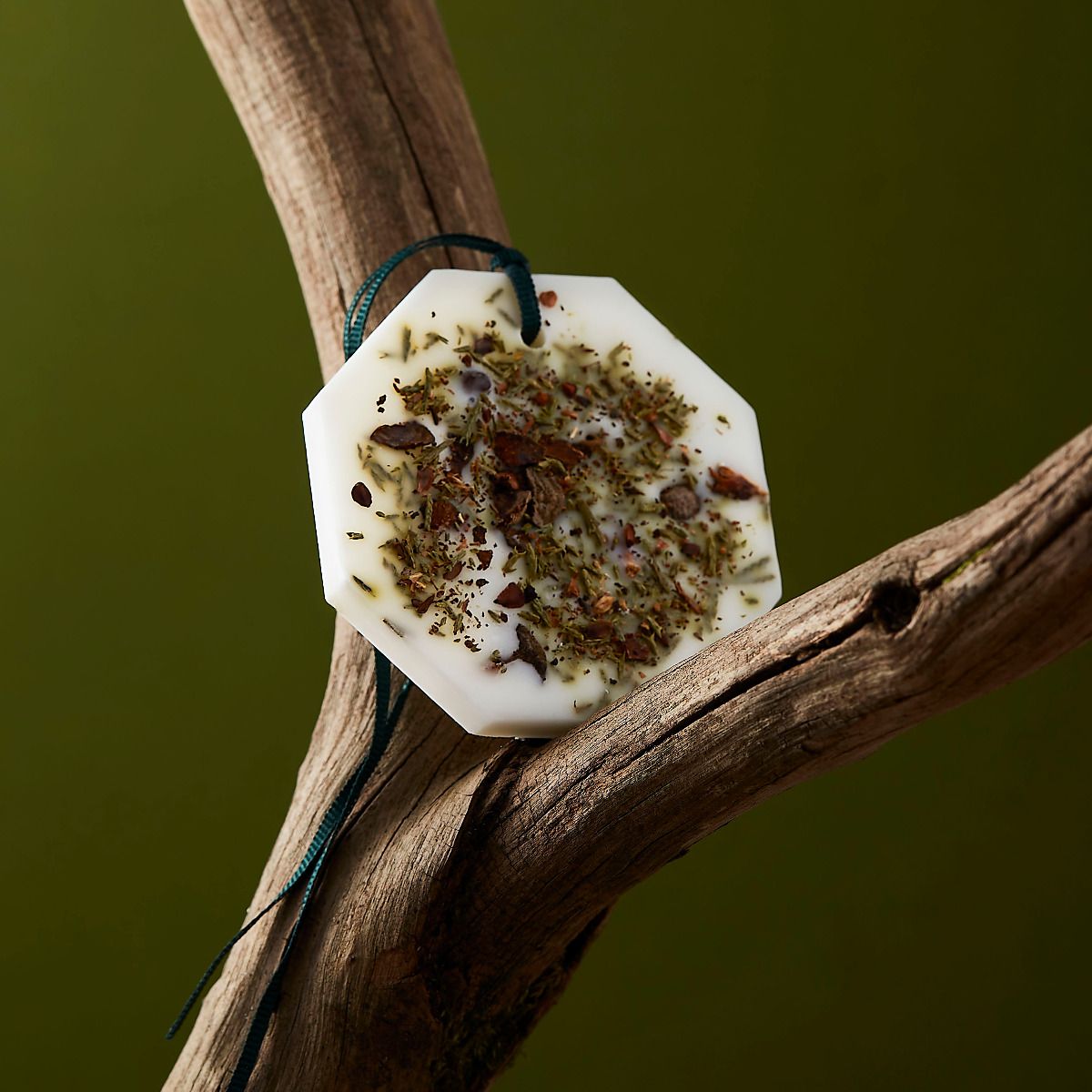 CYPRESS BOTANICAL PALETS