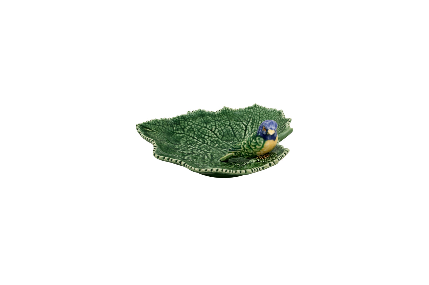 Cinerária - Leaf with Blue Bird
