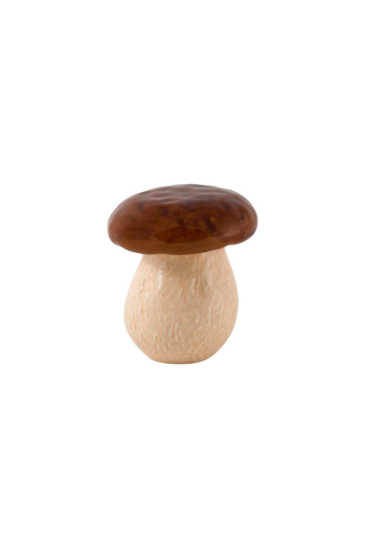 Mushroom - Small Box