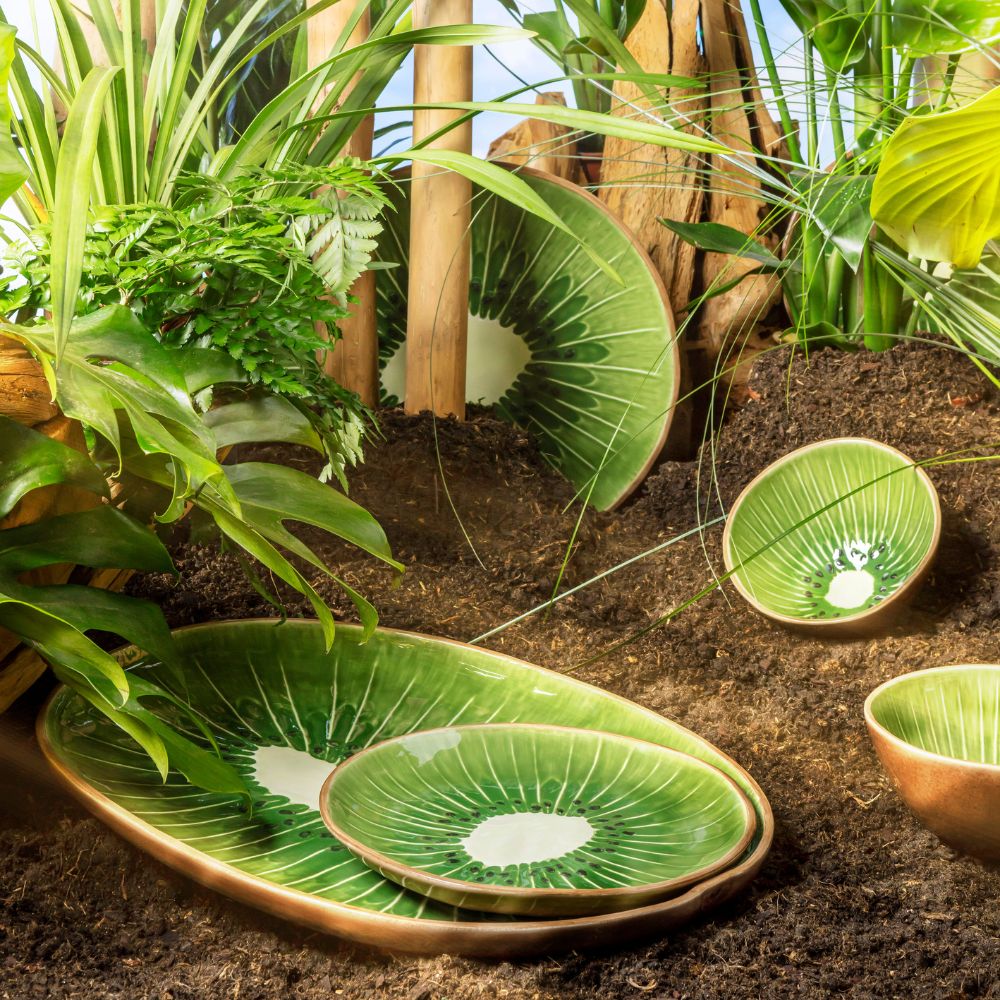 Tropical Fruits - Platter Kiwi