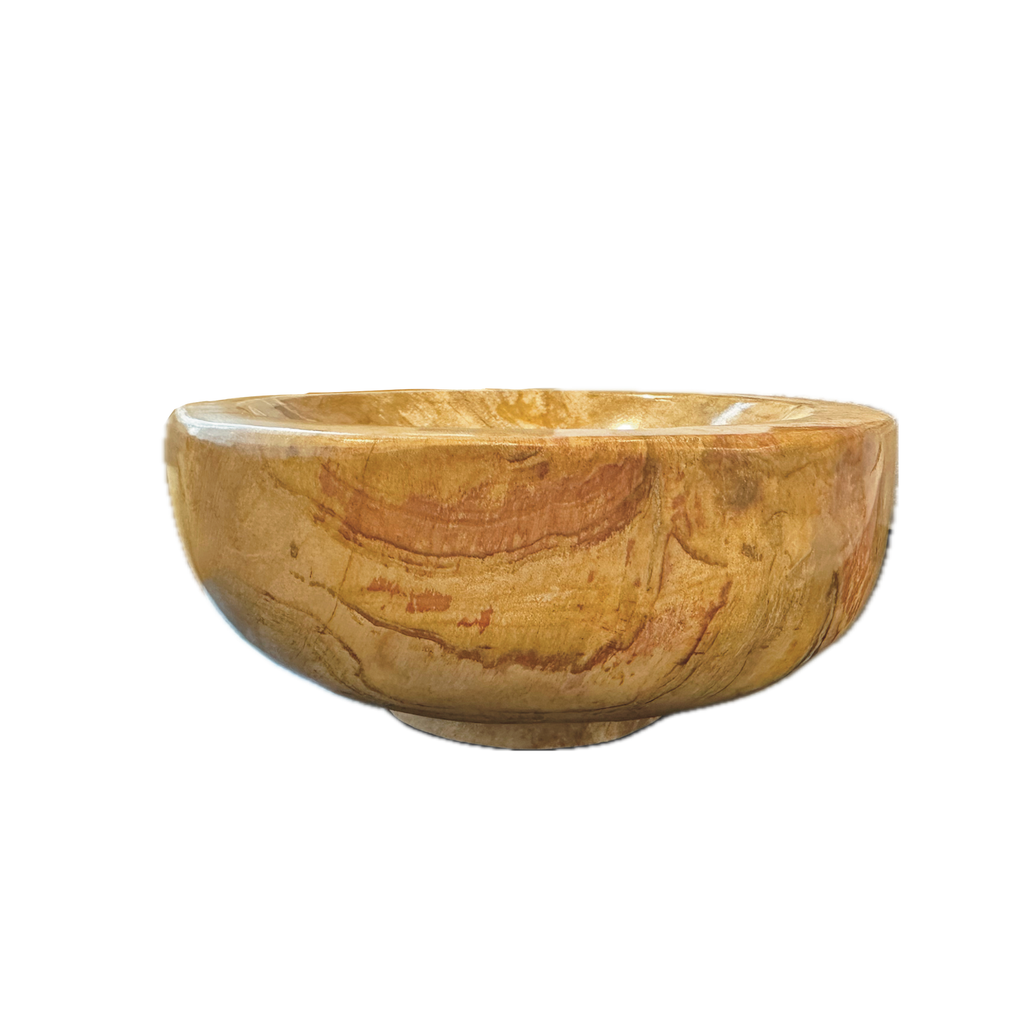 PETRIFIED WOOD BOWL