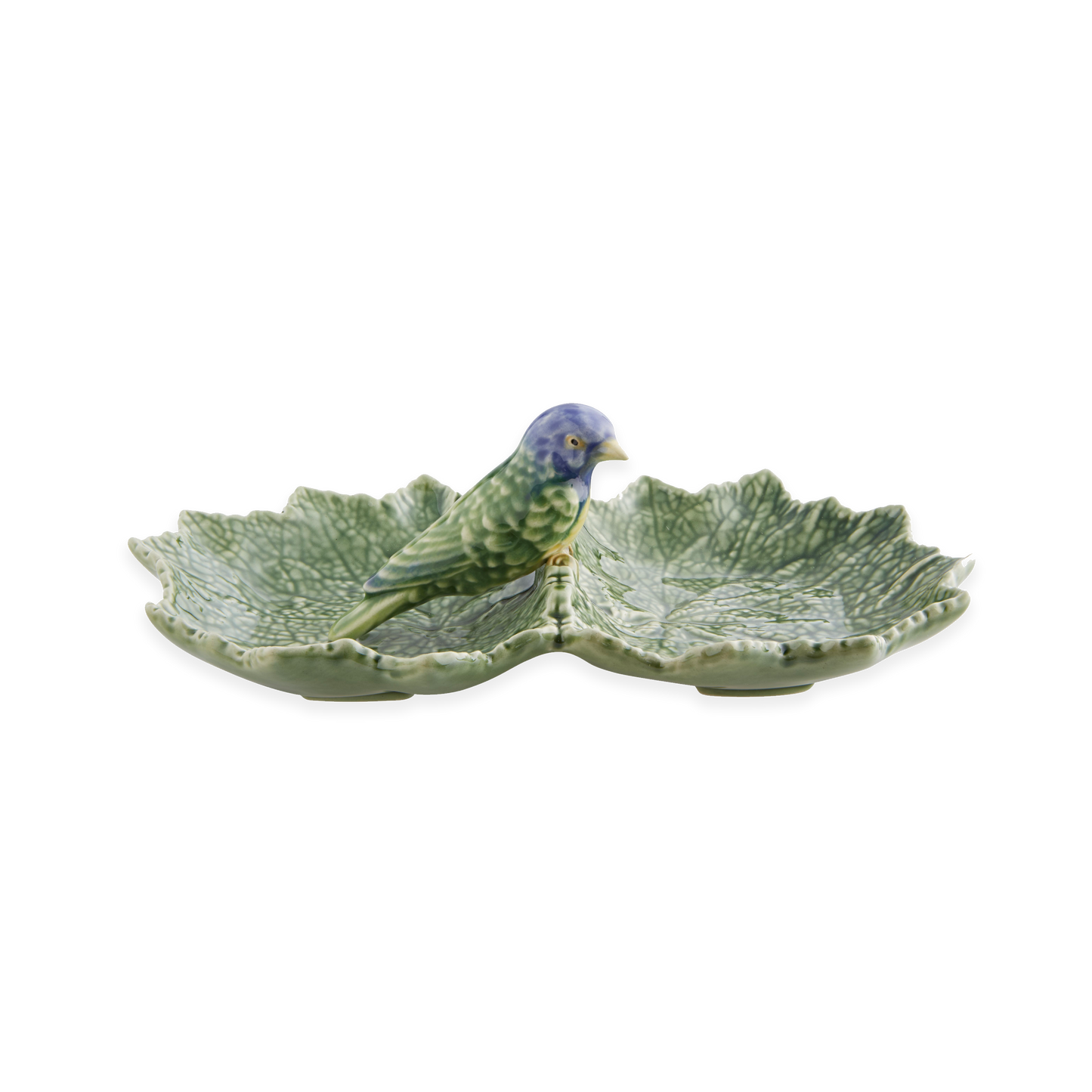 Cinerária - Double Leaf with Blue Bird