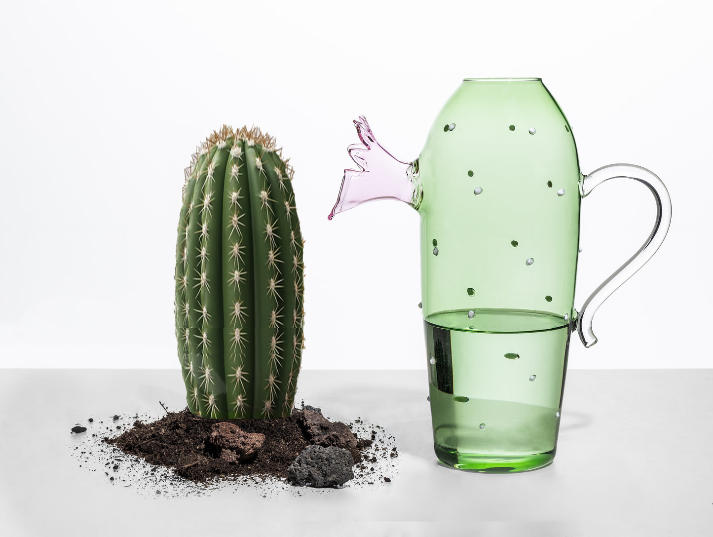 DESERT PLANTS - jug green cactus w/pink flower