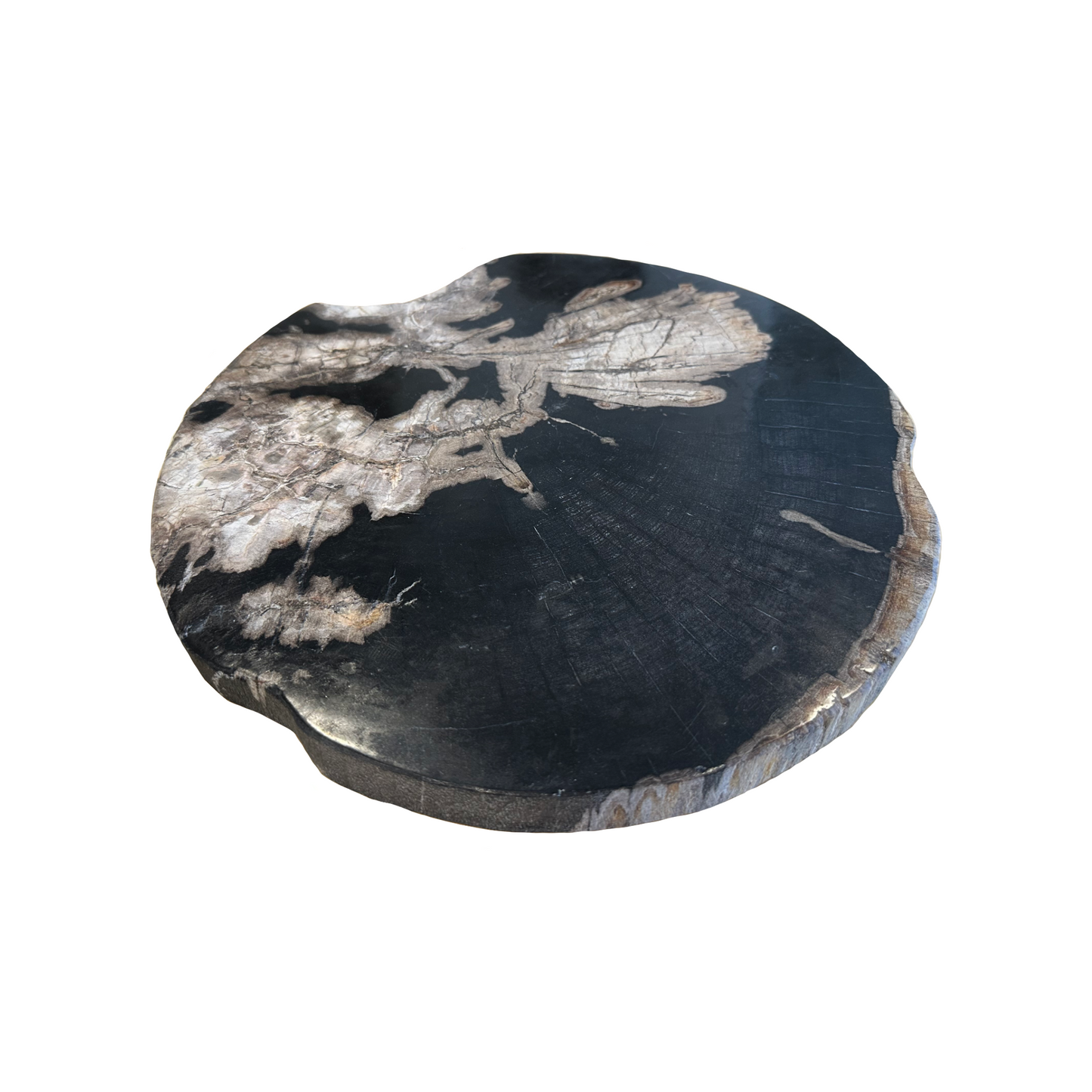PETRIFIED WOOD SERVING BOARD