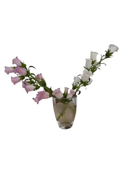 SMALL OVAL VASE