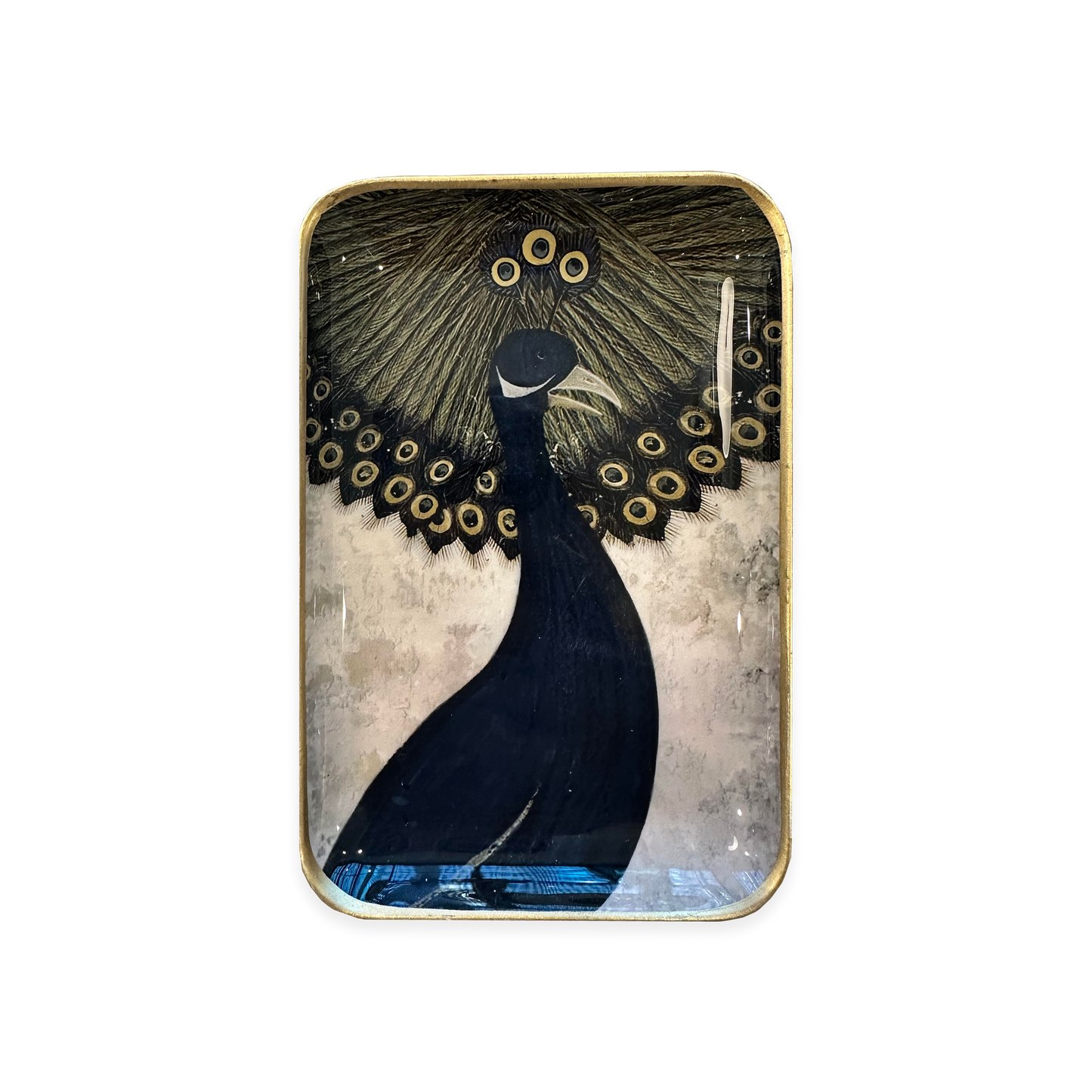 SOLO TRAY - PEACOCK