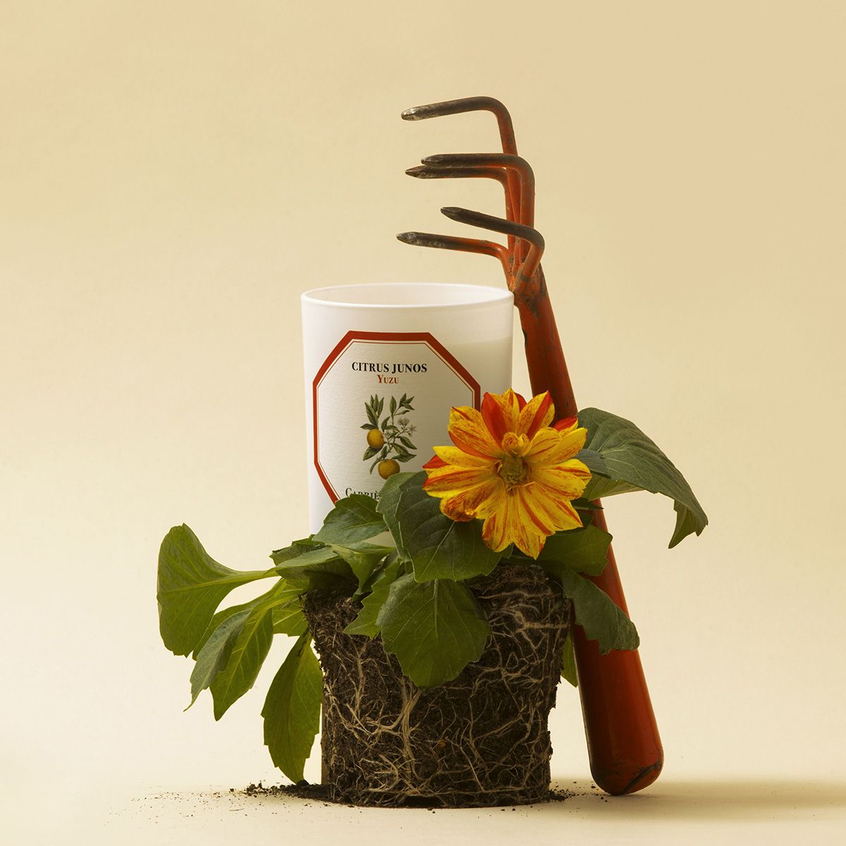 YUZU CANDLE