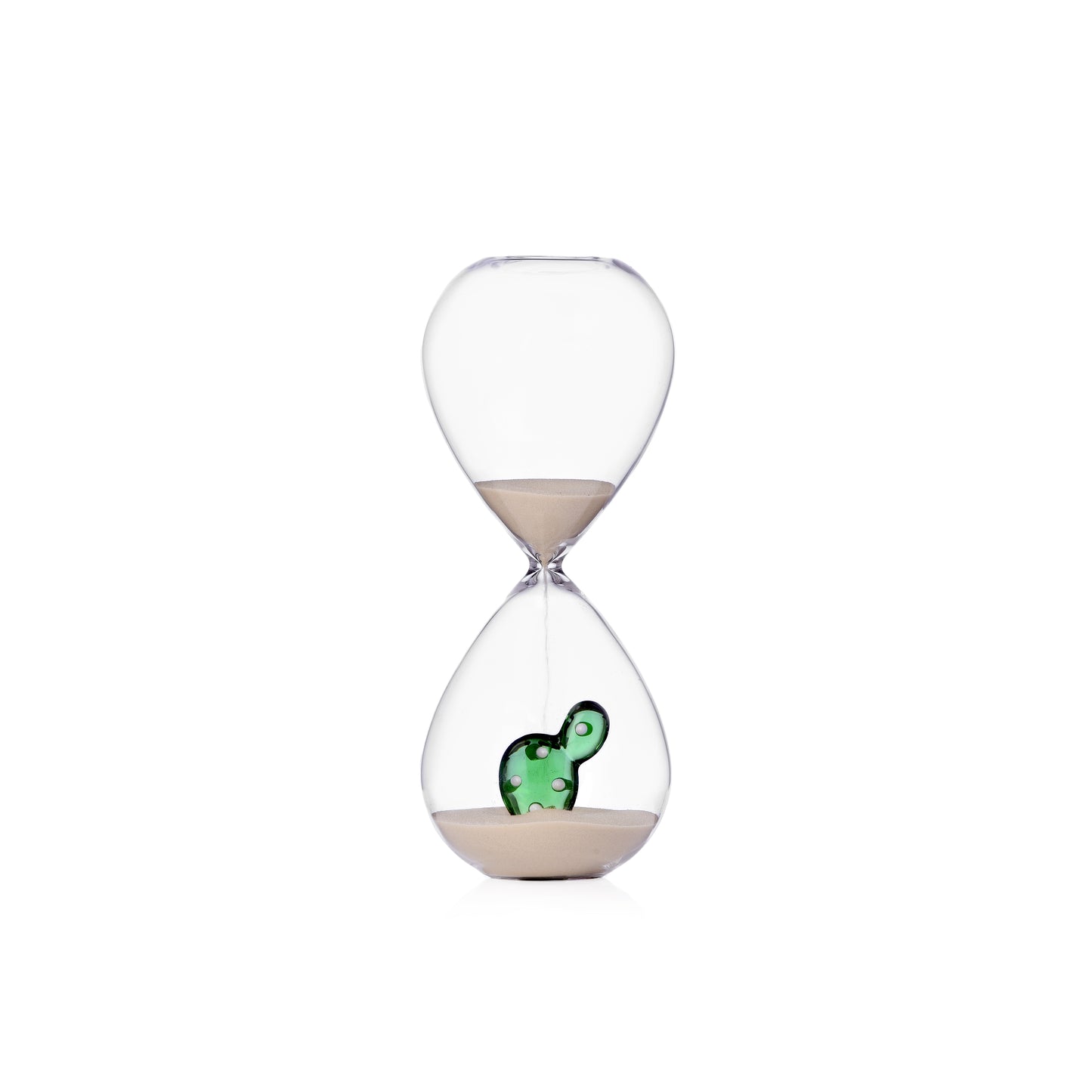 DESERT PLANTS - Hourglass cactus green