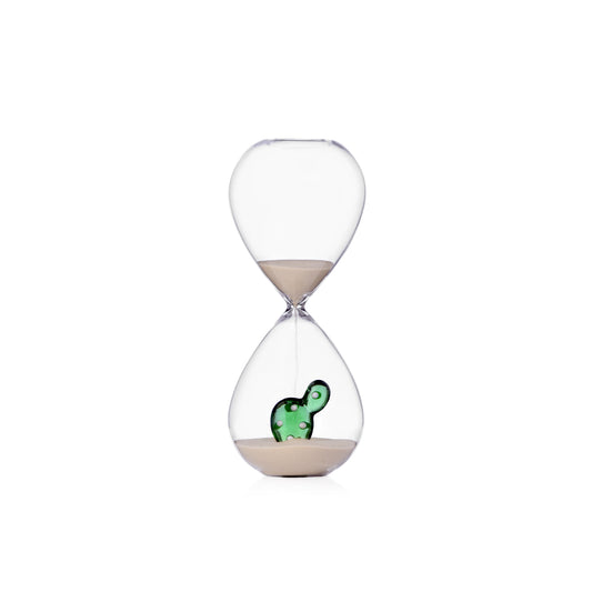 DESERT PLANTS - Hourglass cactus green