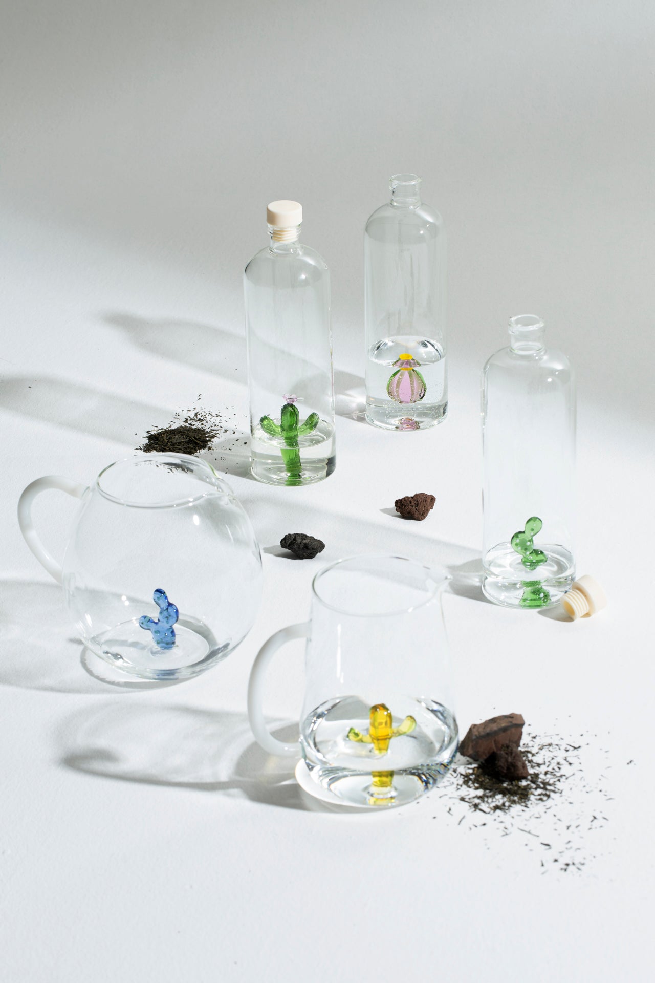 DESERT PLANTS - bottle with green/cactus