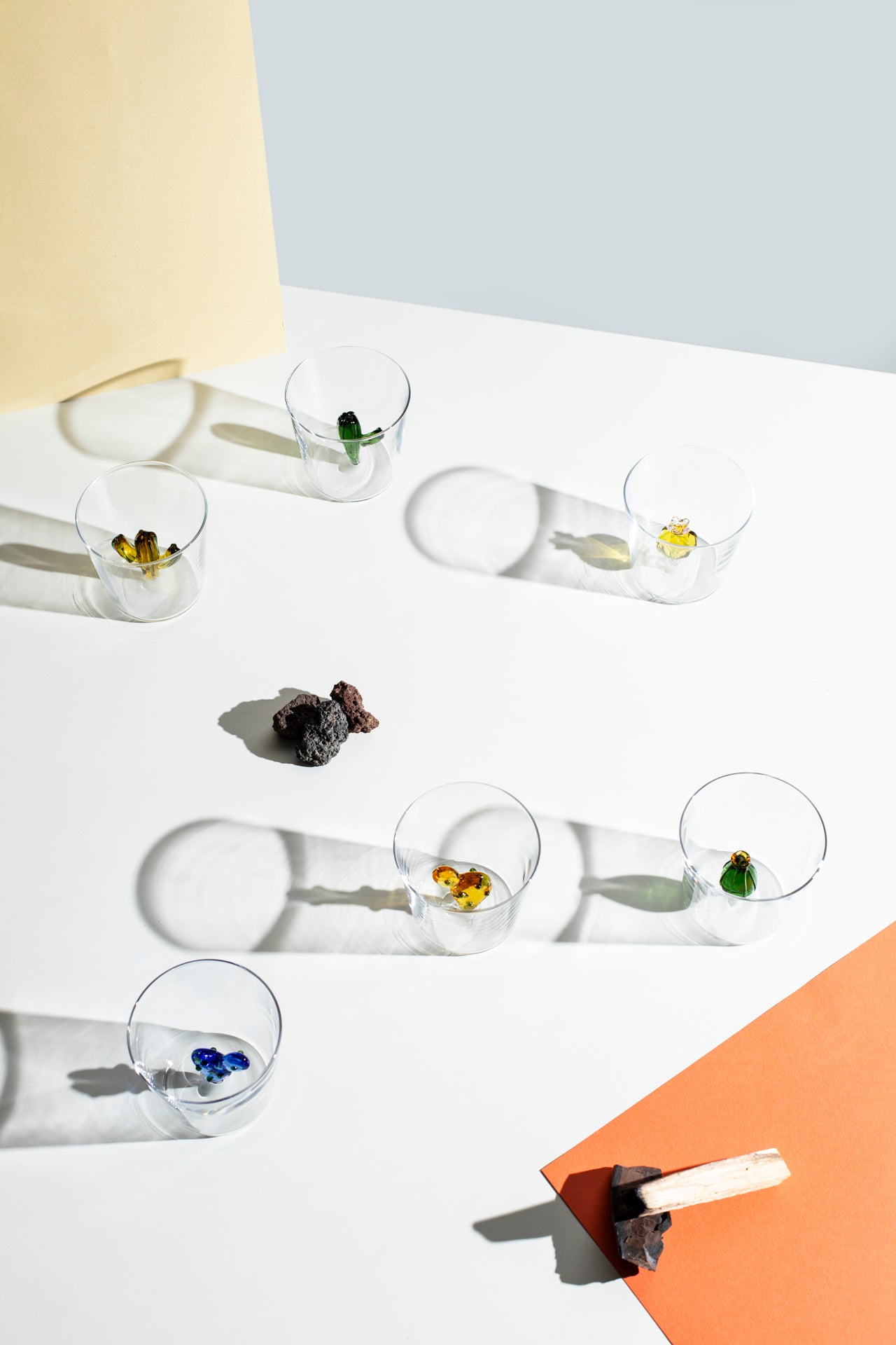 DESERT PLANTS - tumbler cactus amber