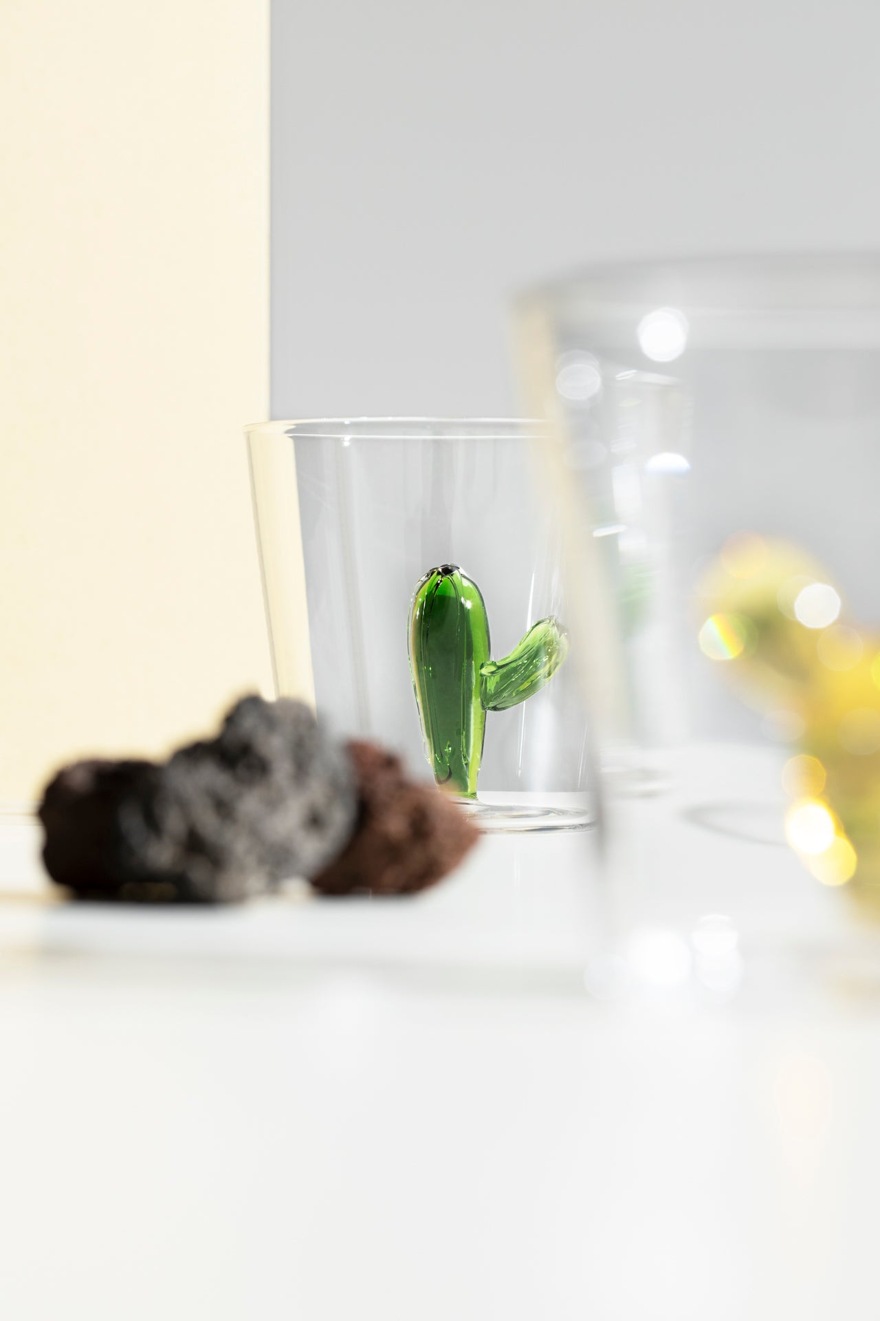 DESERT PLANTS - tumbler cactus amber