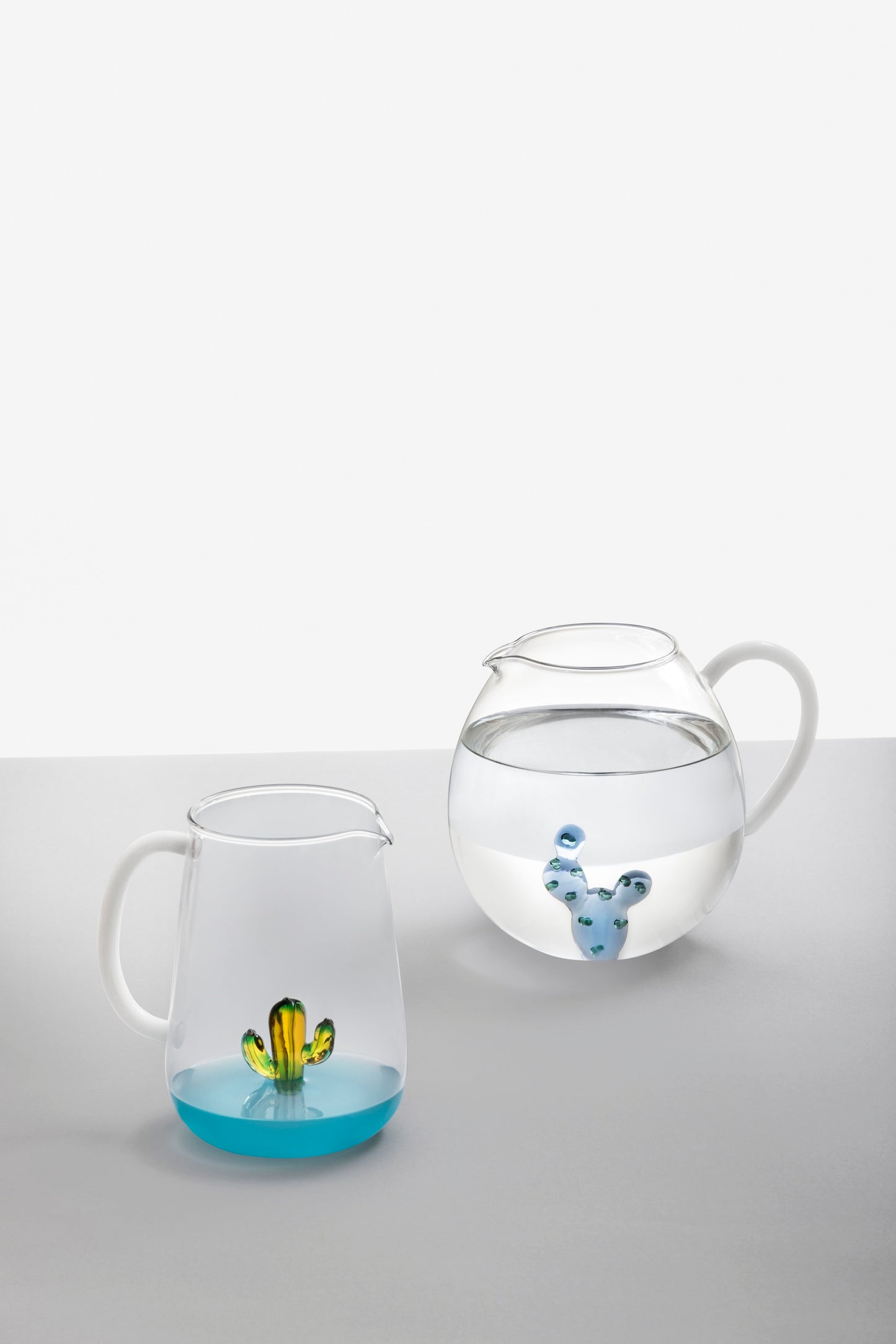 DESERT PLANTS - jug cactus blue