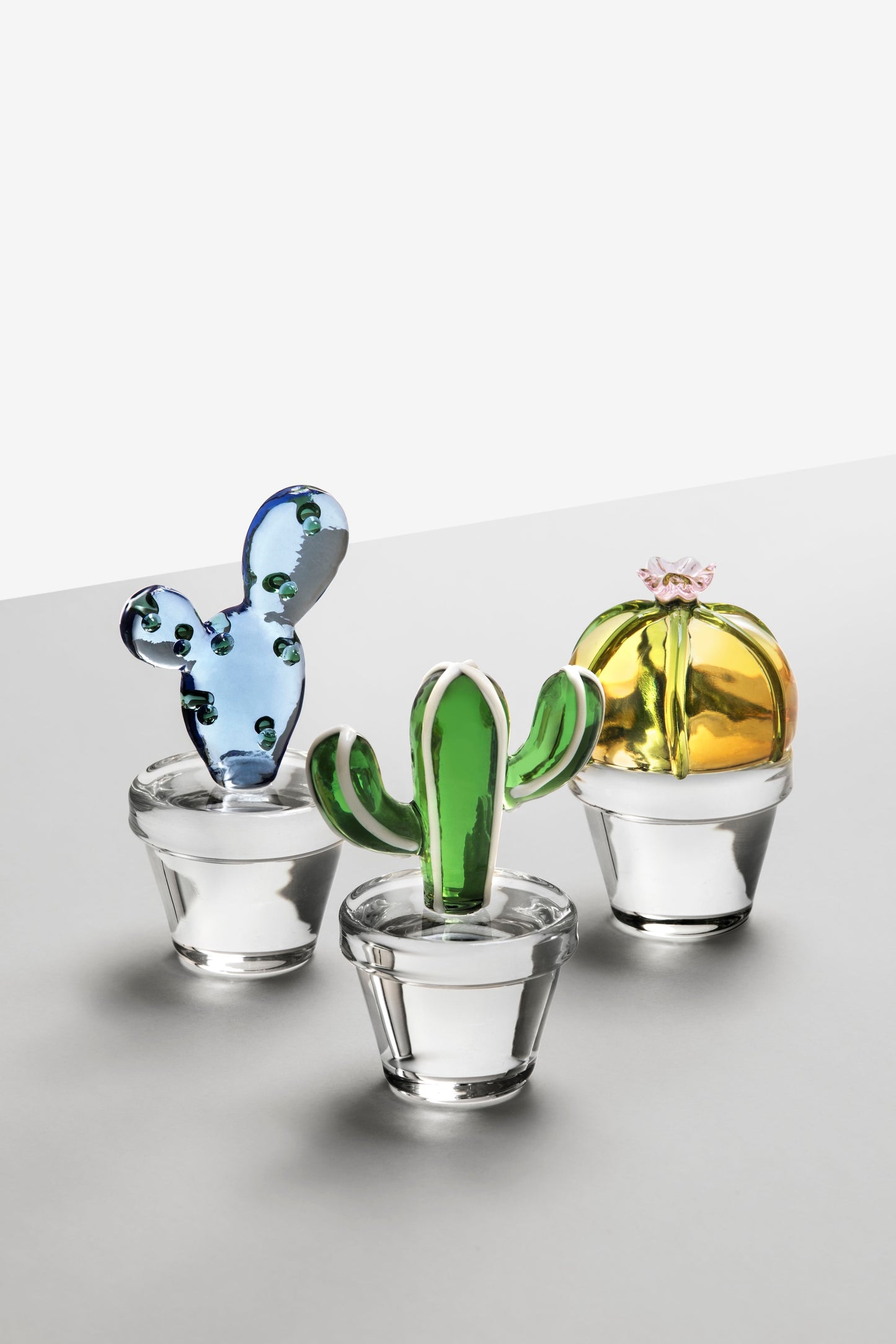 DESERT PLANTS - paperweight cactus blue