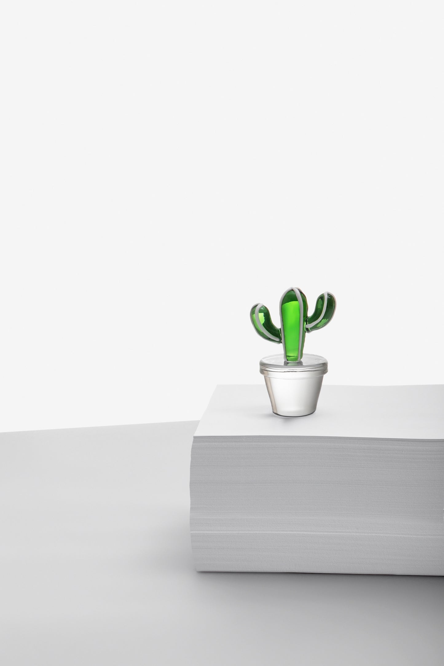 DESERT PLANTS - paperweight cactus green