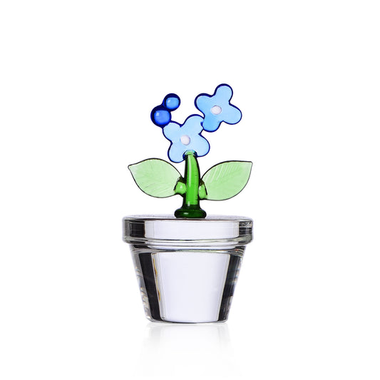 FRUIT & FLOWERS - paperweight/placeholder light blue flower