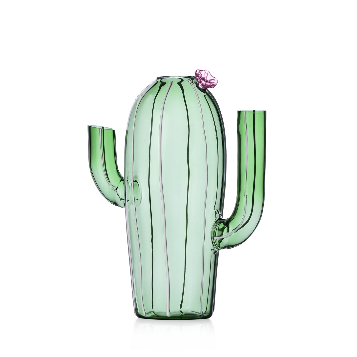 DESERT PLANTS - JUG GREEN CACTUS PINK FLOWER