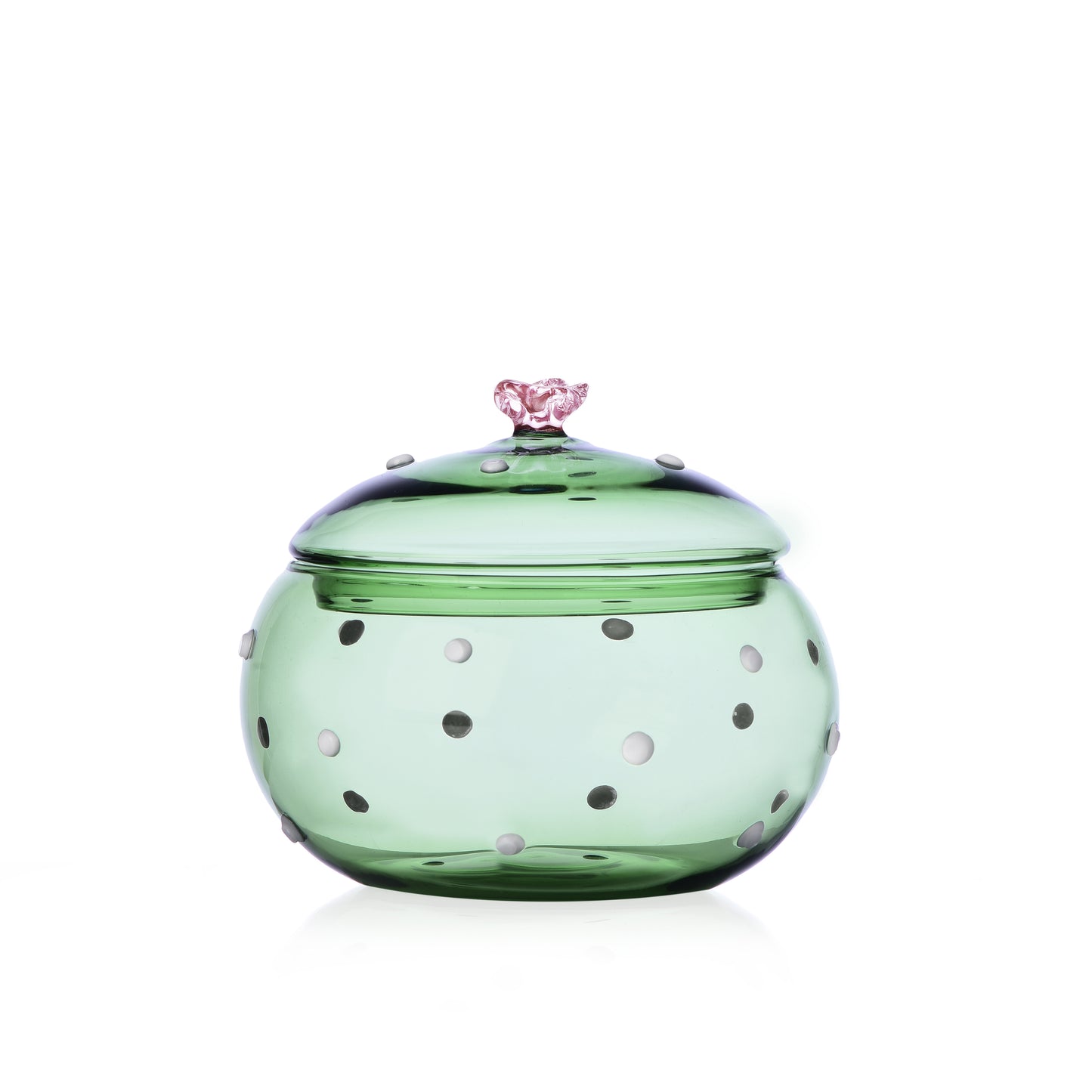 DESERT PLANTS - box green cactus pink flower