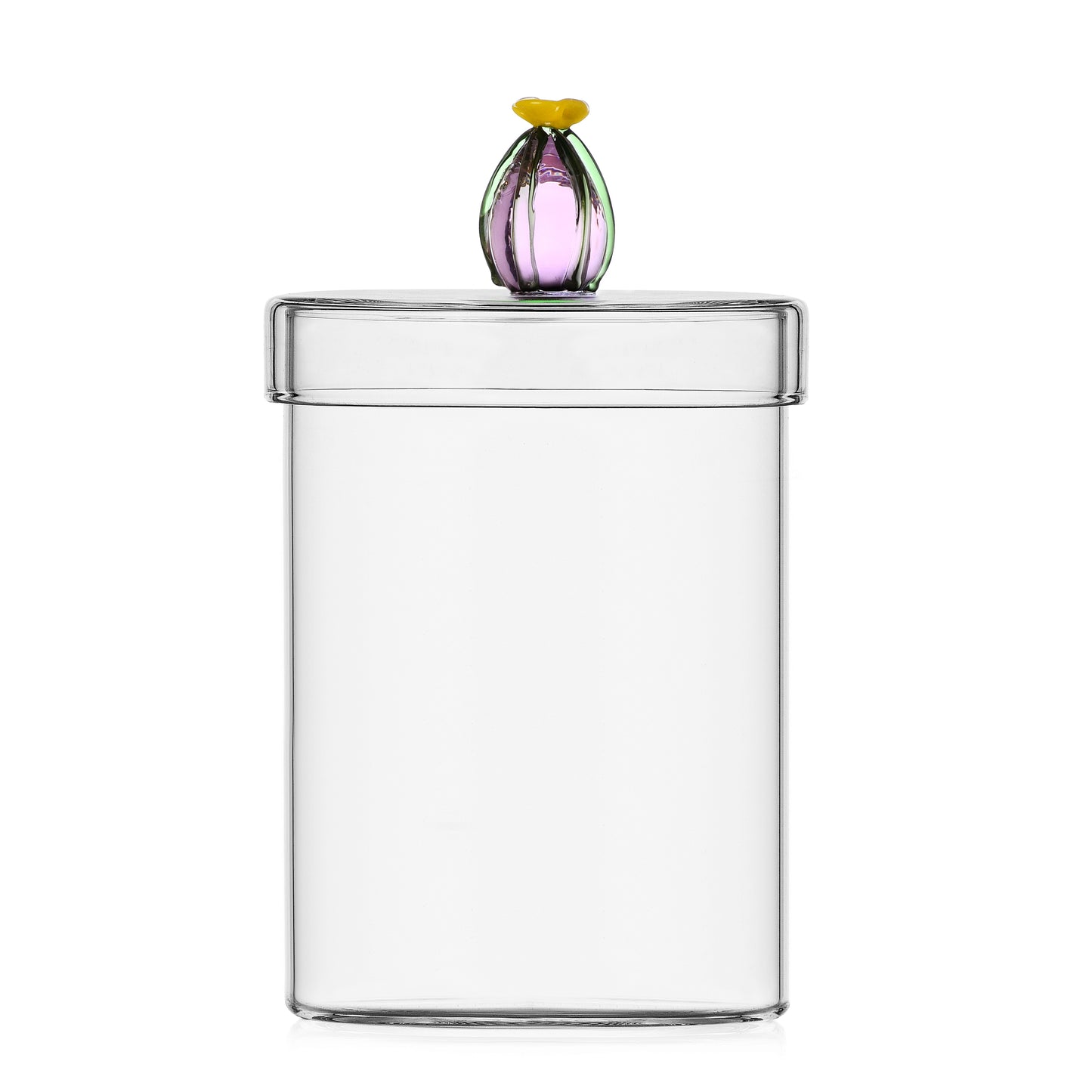 DESERT PLANTS - BOX CACTUS PINK FLOWER