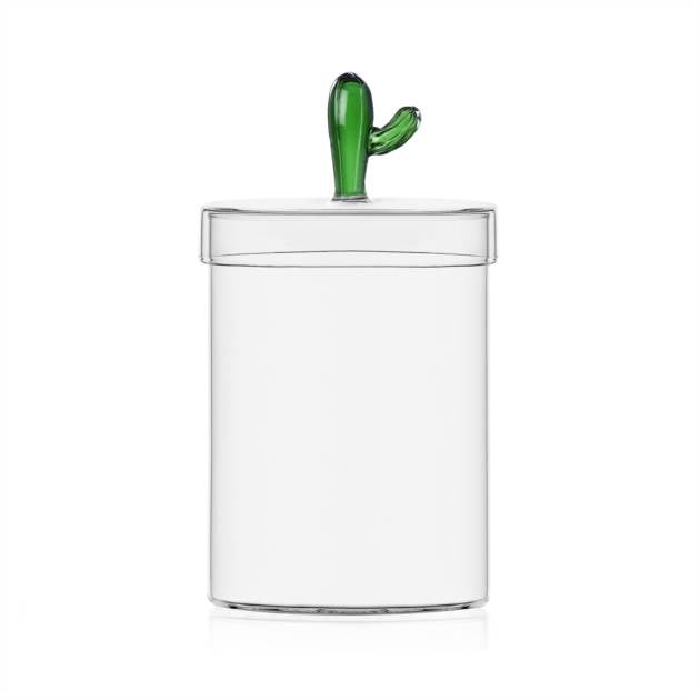DESERT PLANTS - BOX CACTUS GREEN