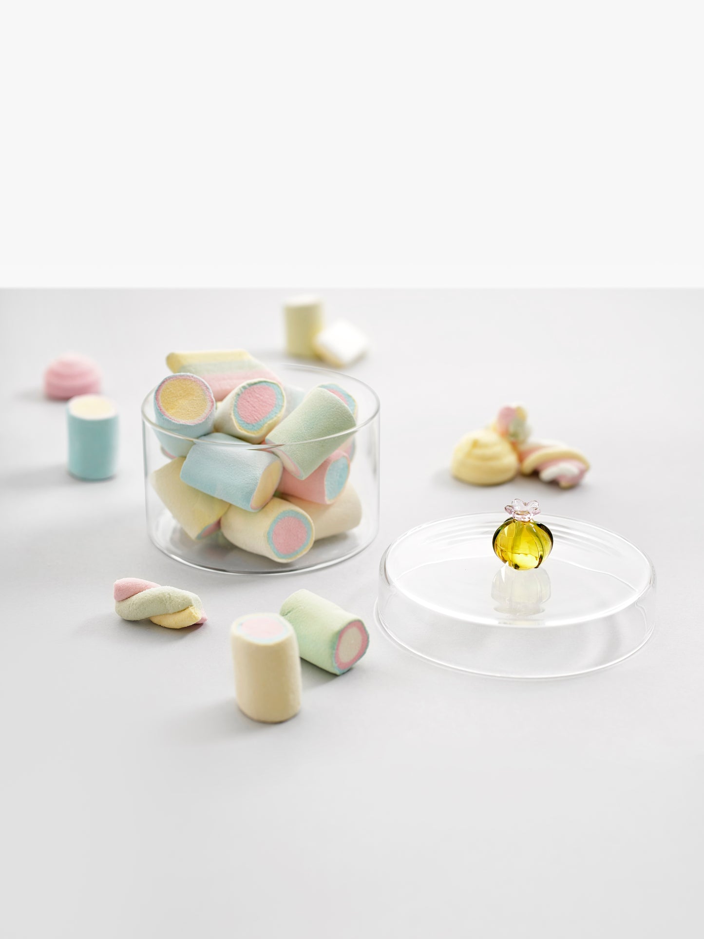 DESERT PLANTS - box cactus amber