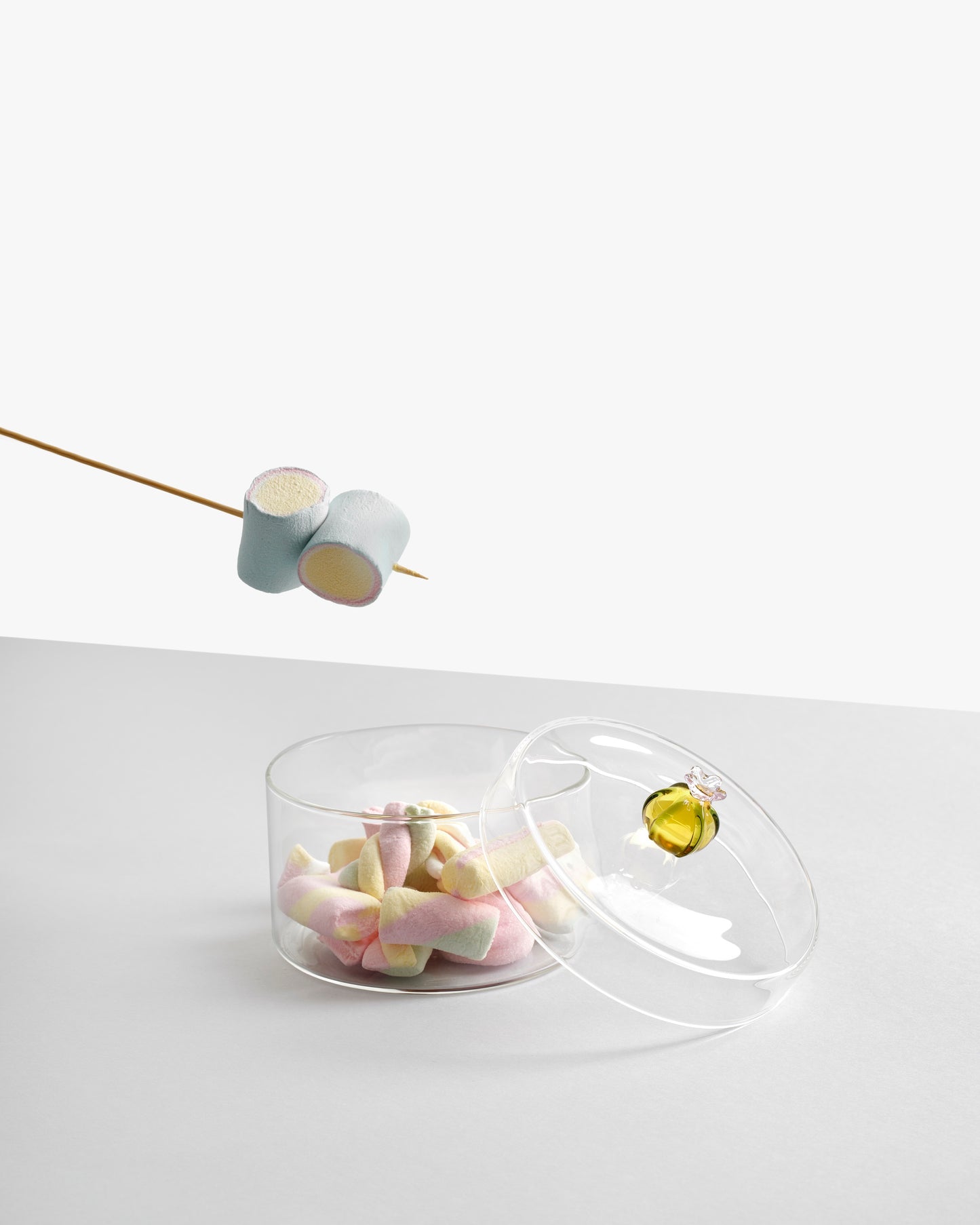 DESERT PLANTS - box cactus amber