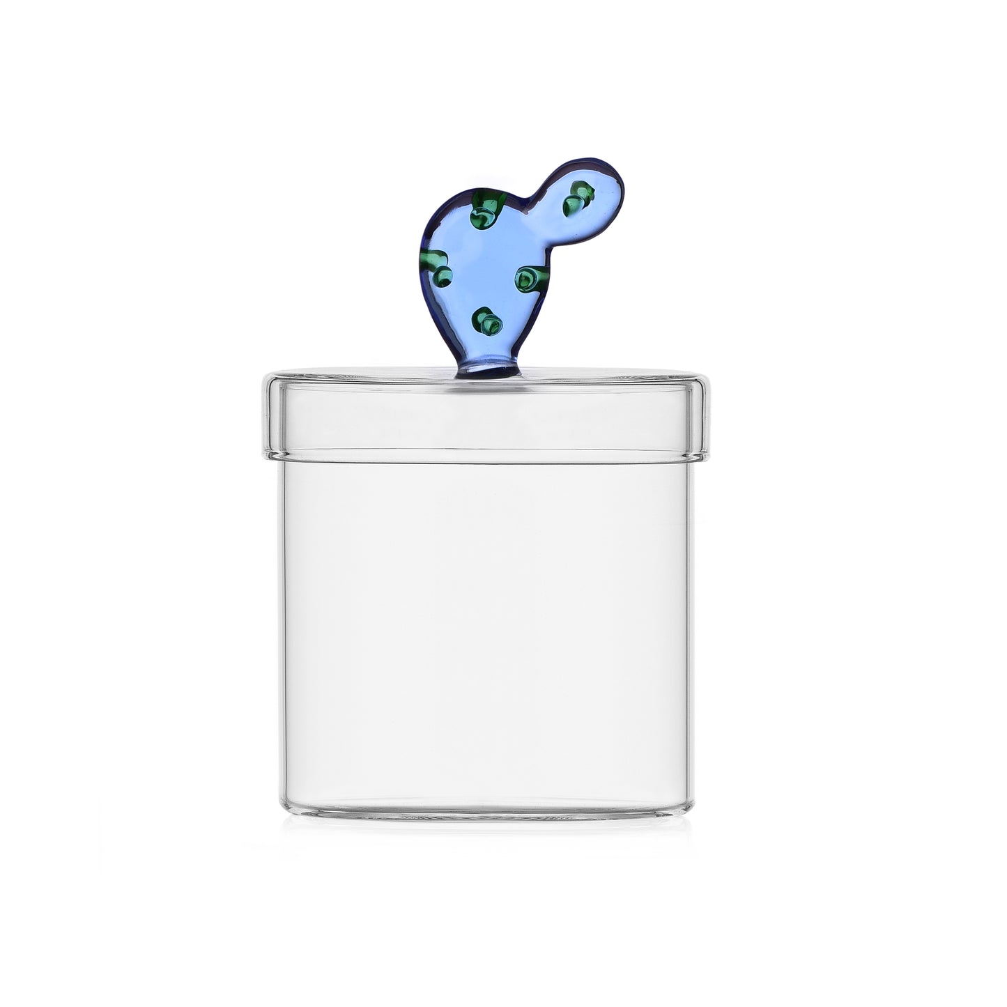 DESERT PLANTS - BOX CACTUS BLUE