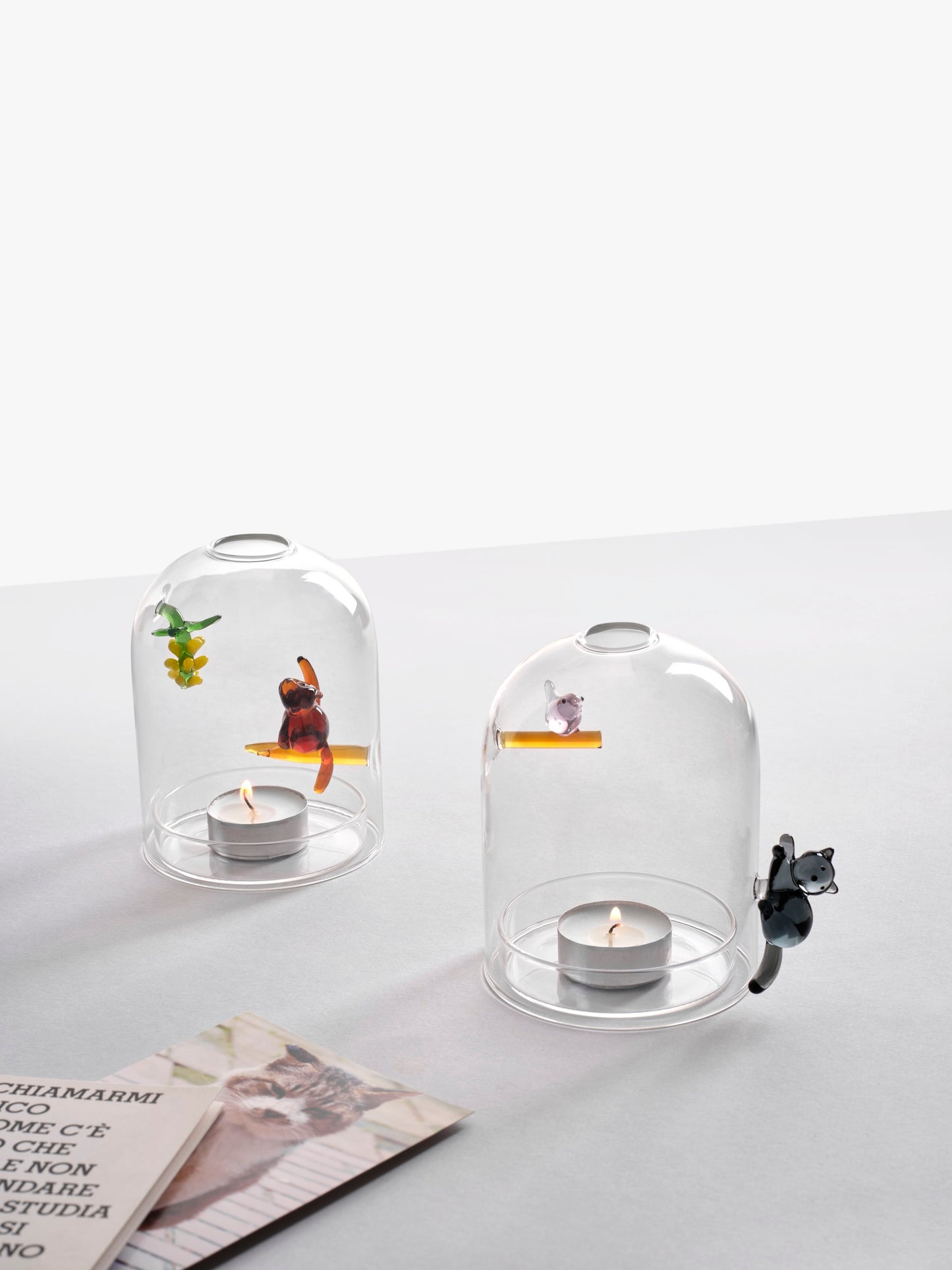 BIRDS - CANDLE HOLDER WIND PROOF CAT AND BIRD