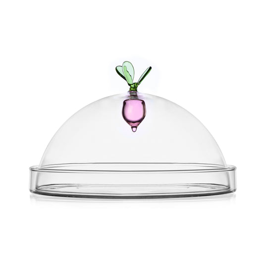 VEGETABLES - dome w/dish raddish