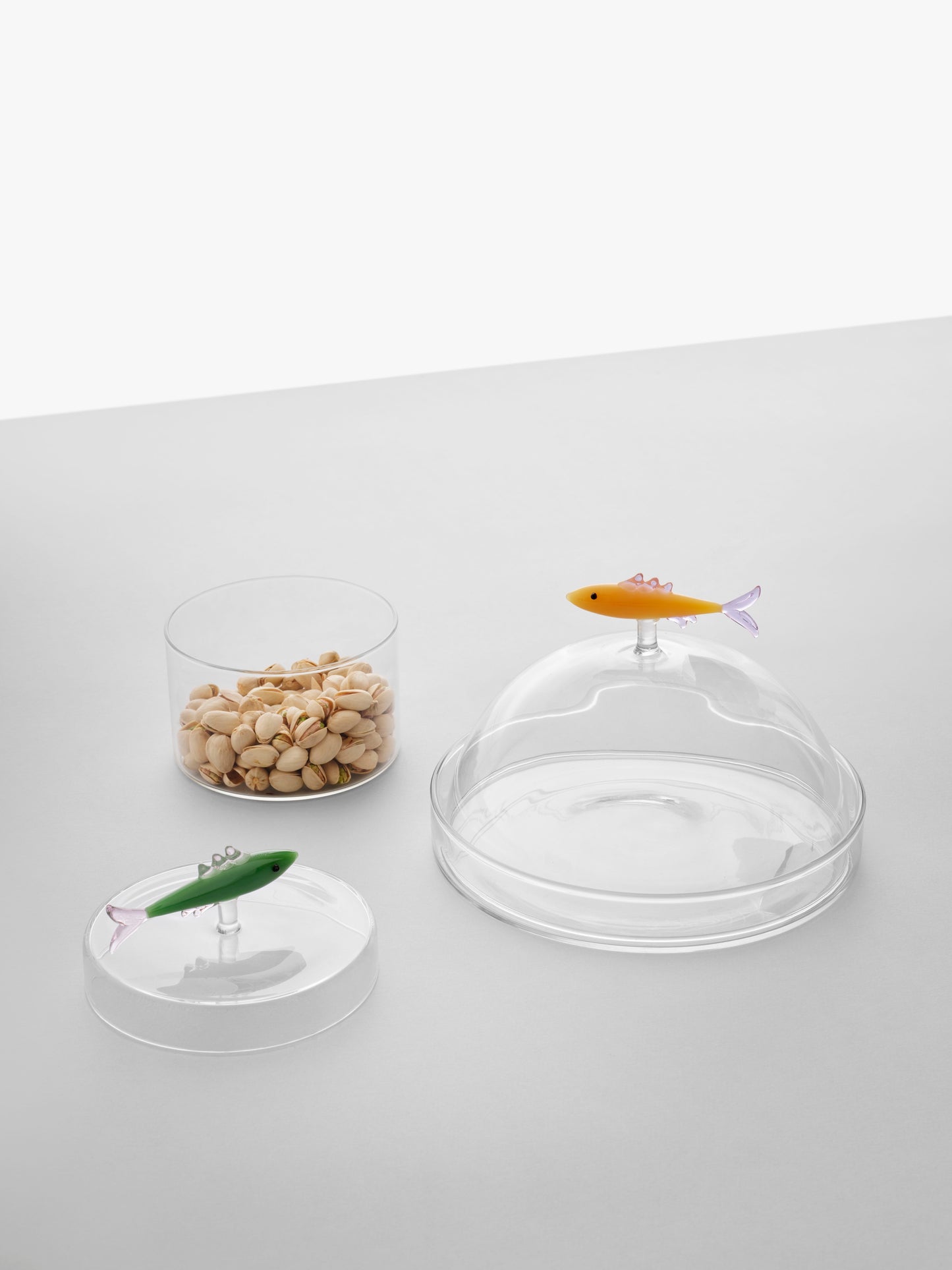 MARINE GARDEN - dome w/dish sardine