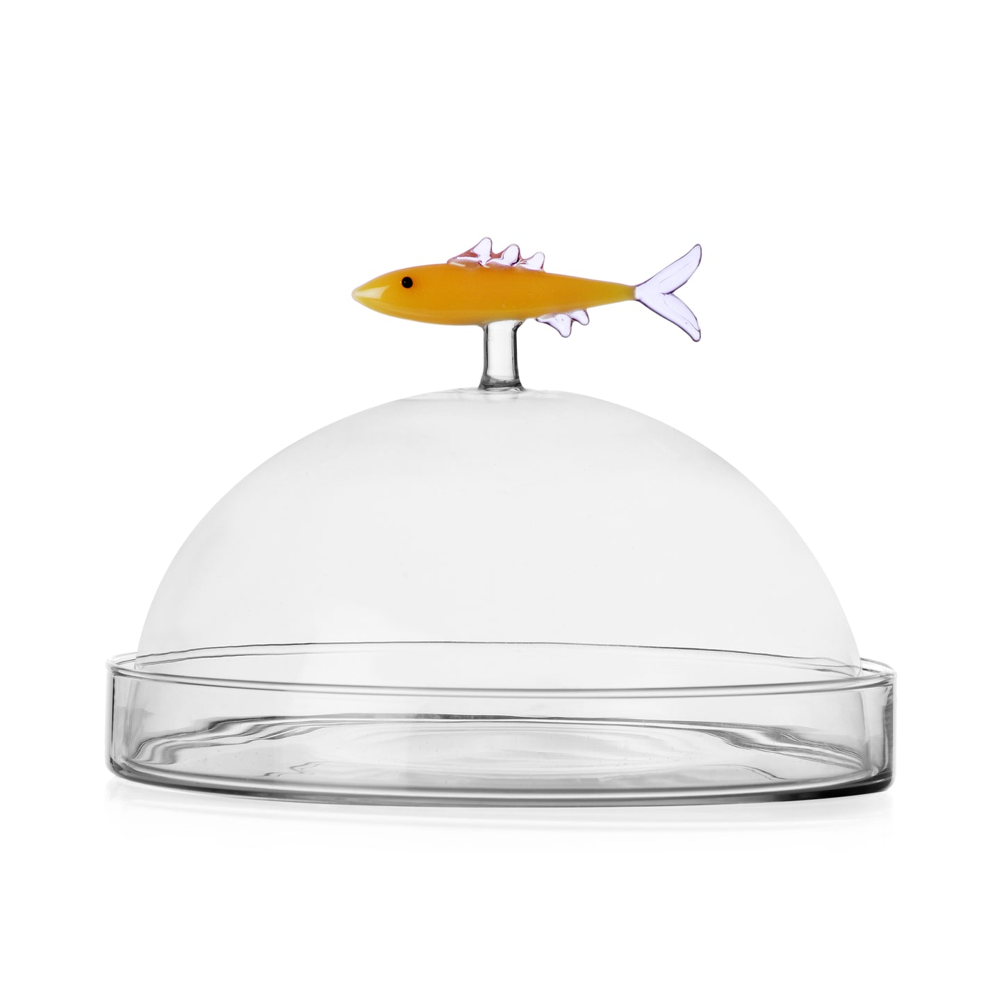 MARINE GARDEN - dome w/dish sardine