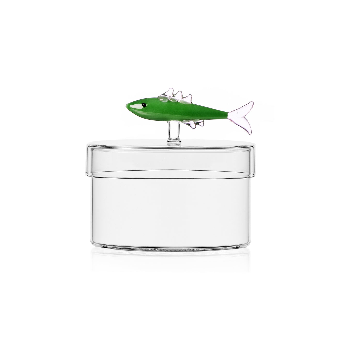 MARINE GARDEN - box sardine green