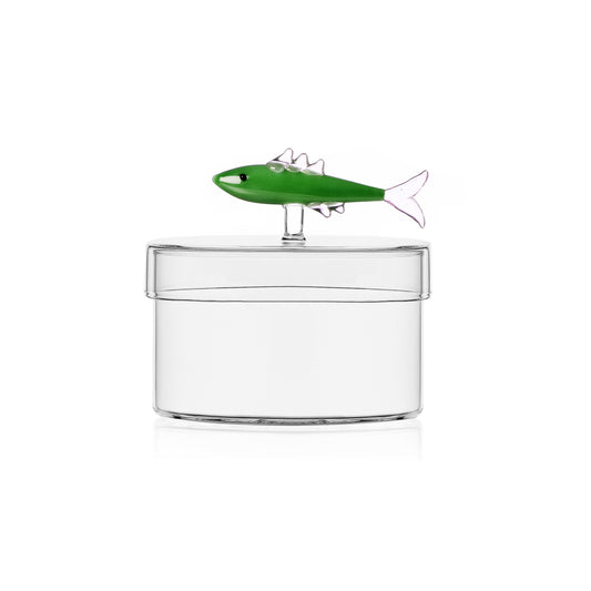 MARINE GARDEN - box sardine green