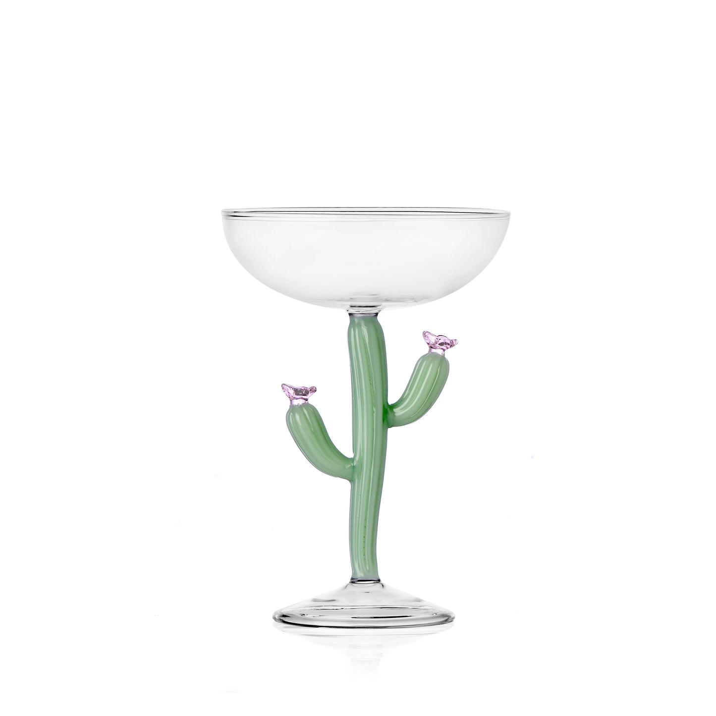 DESERT PLANTS - champagne bowl cactus matt green
