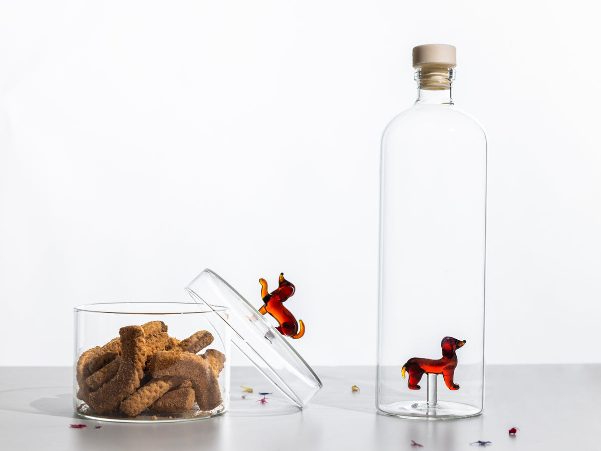 DOGS - bottle Dachshund