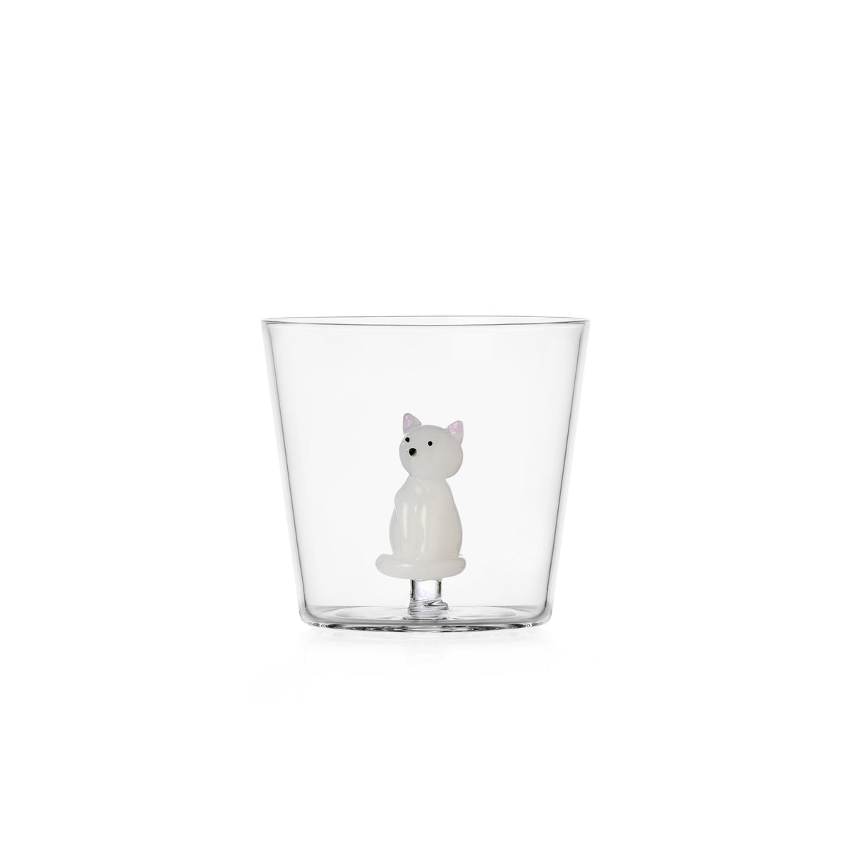 TABBY CAT - tumbler sitting white cat