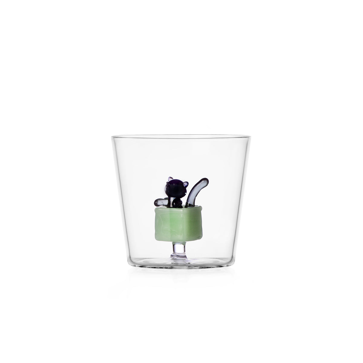 TABBY CAT - tumbler black cat in green box