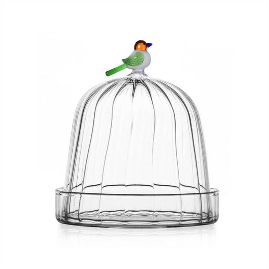 ANIMAL FARM - OPTIC DOME WITH DISH BIRD