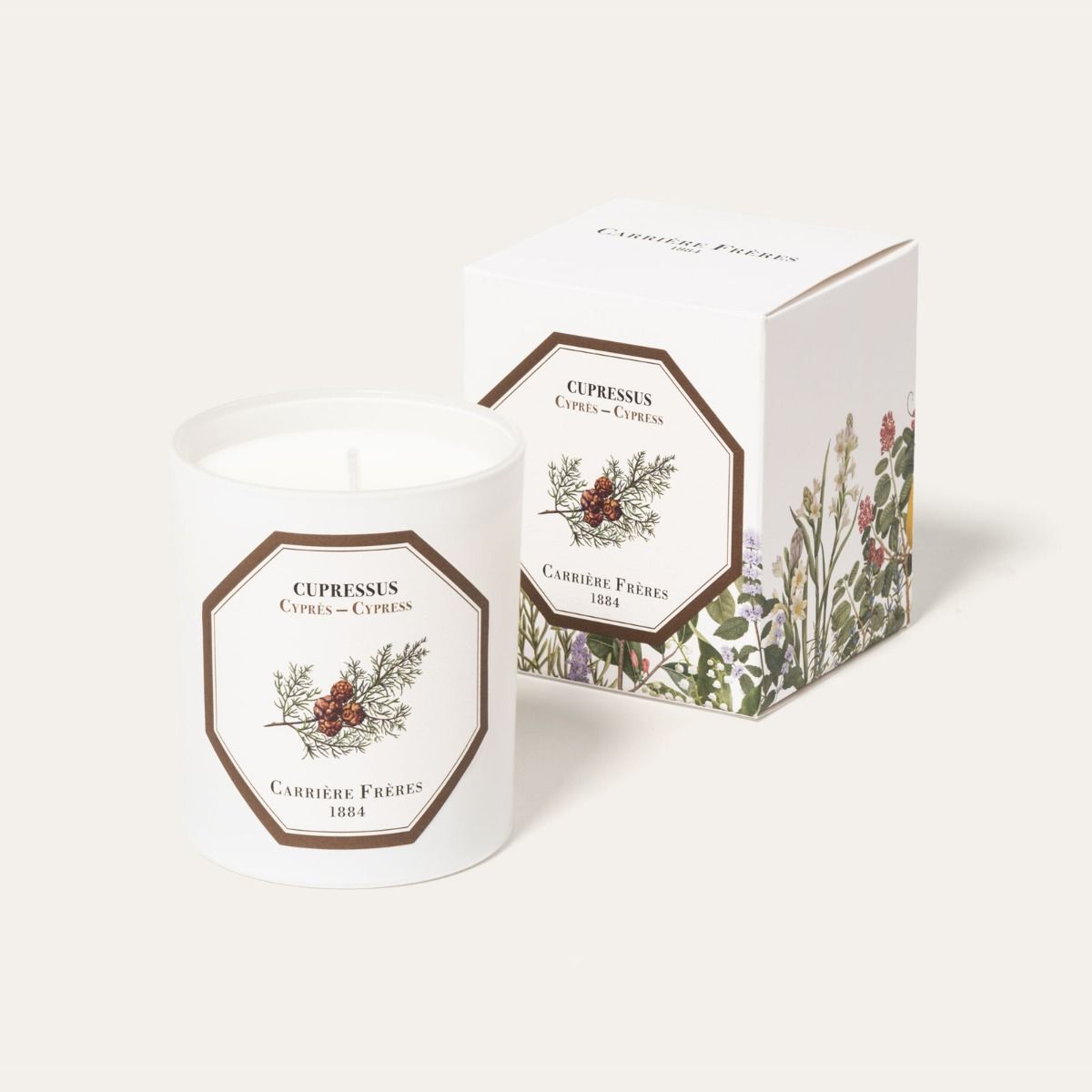 CYPRESS CANDLE