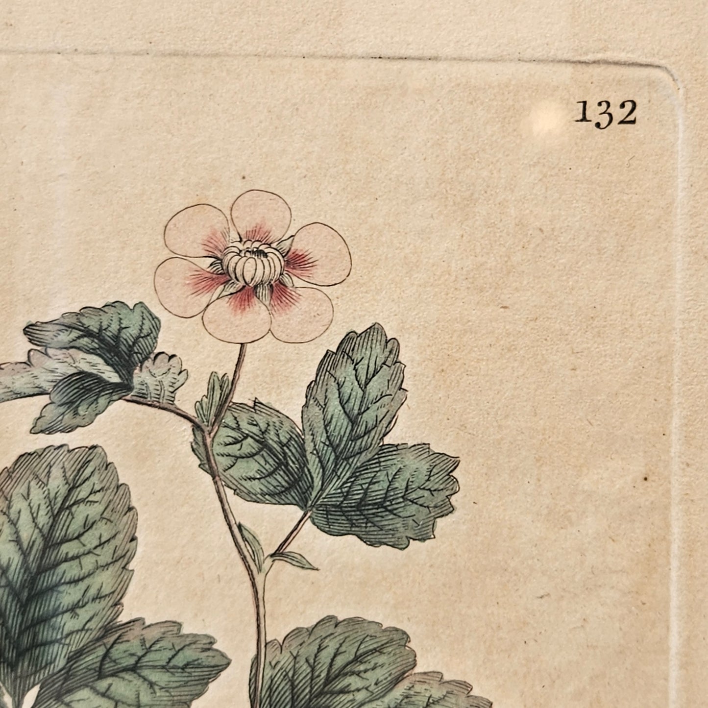 FLOWER ARTWORK 3