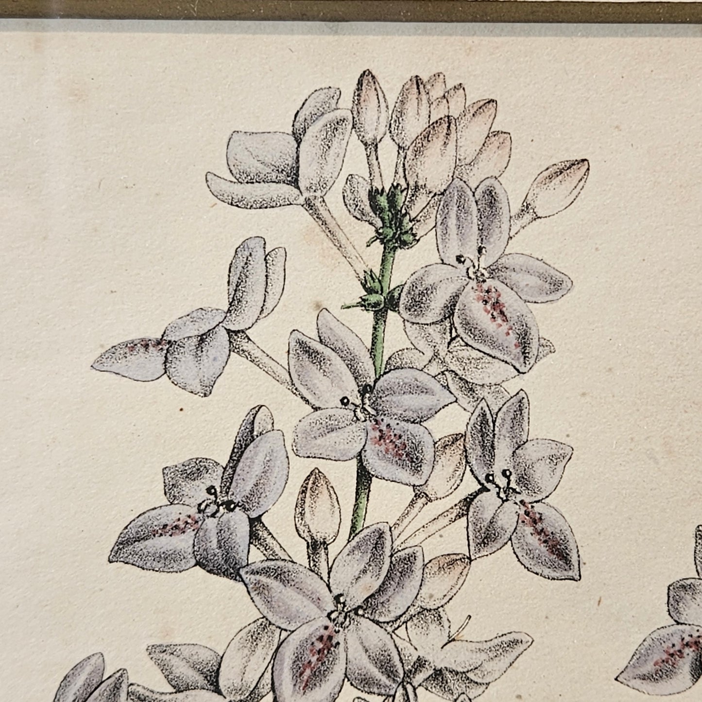 FLOWER ARTWORK 1