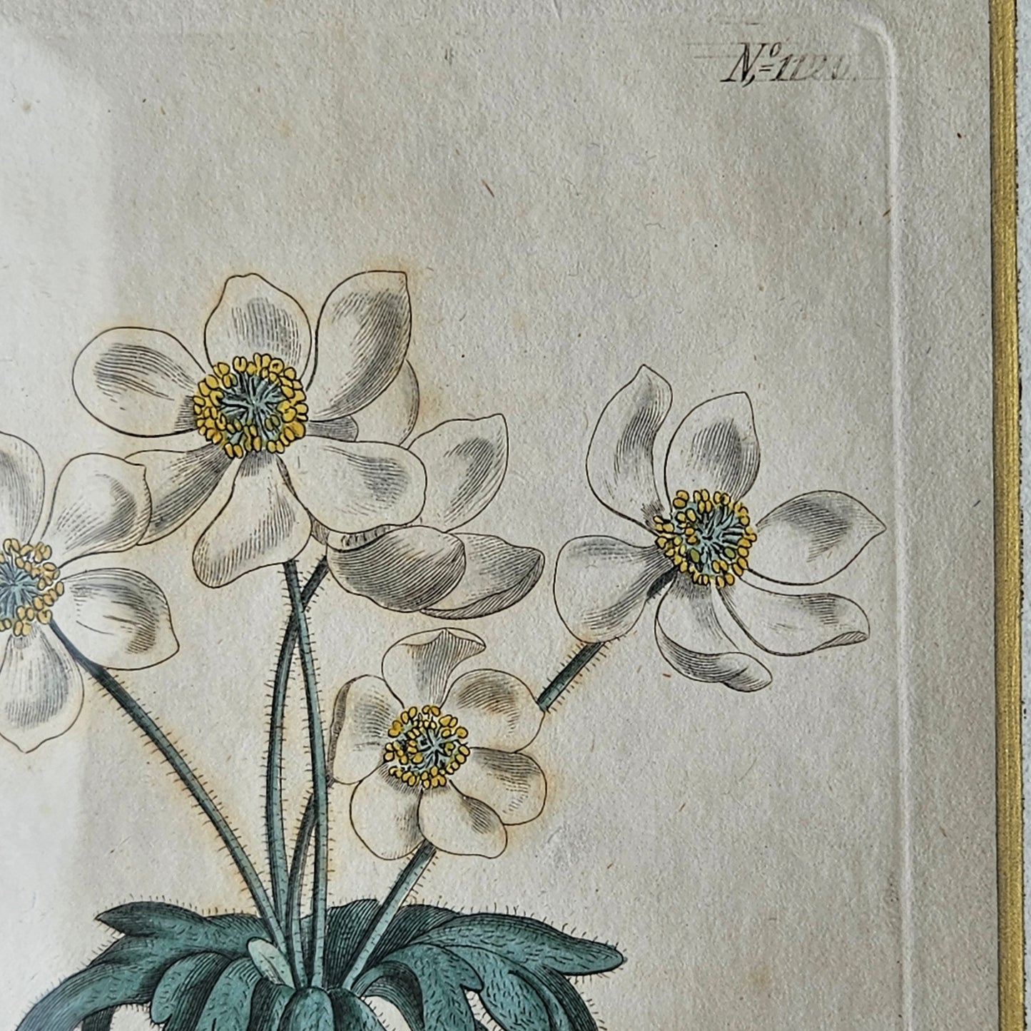 FLOWER ARTWORK 2